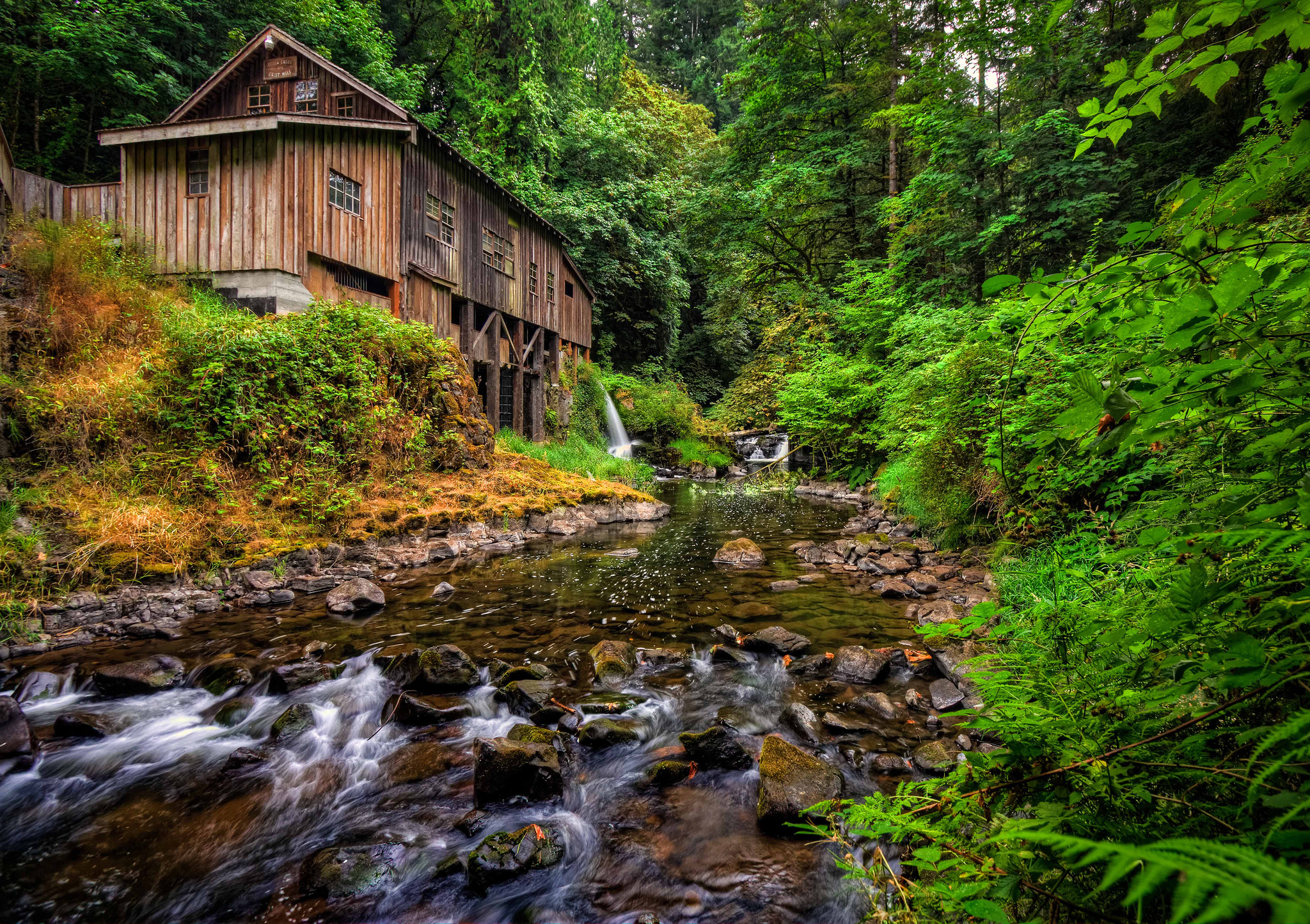 Wallpapers Woodland river mill on the desktop
