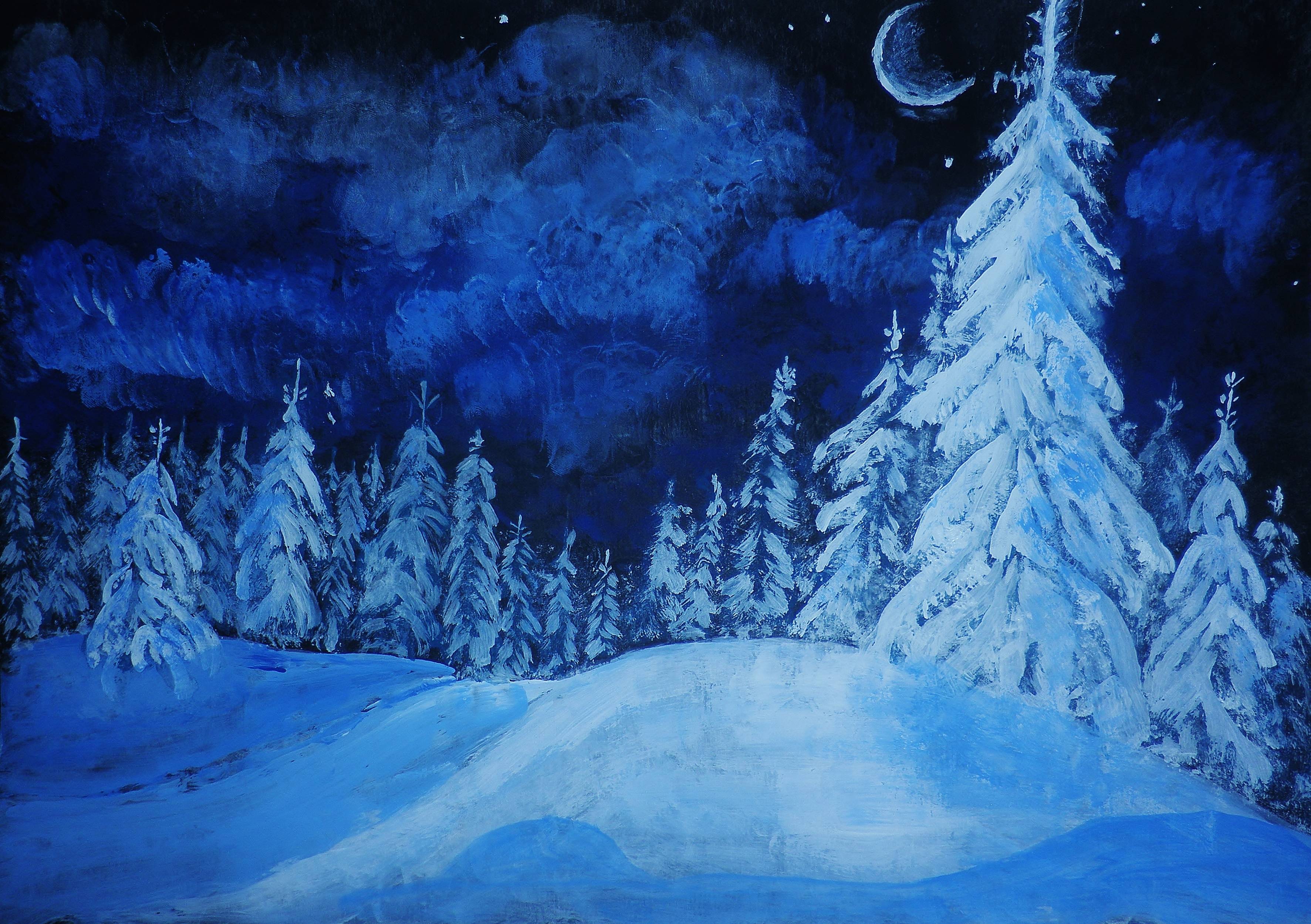 Сказочный зимний лес ночью