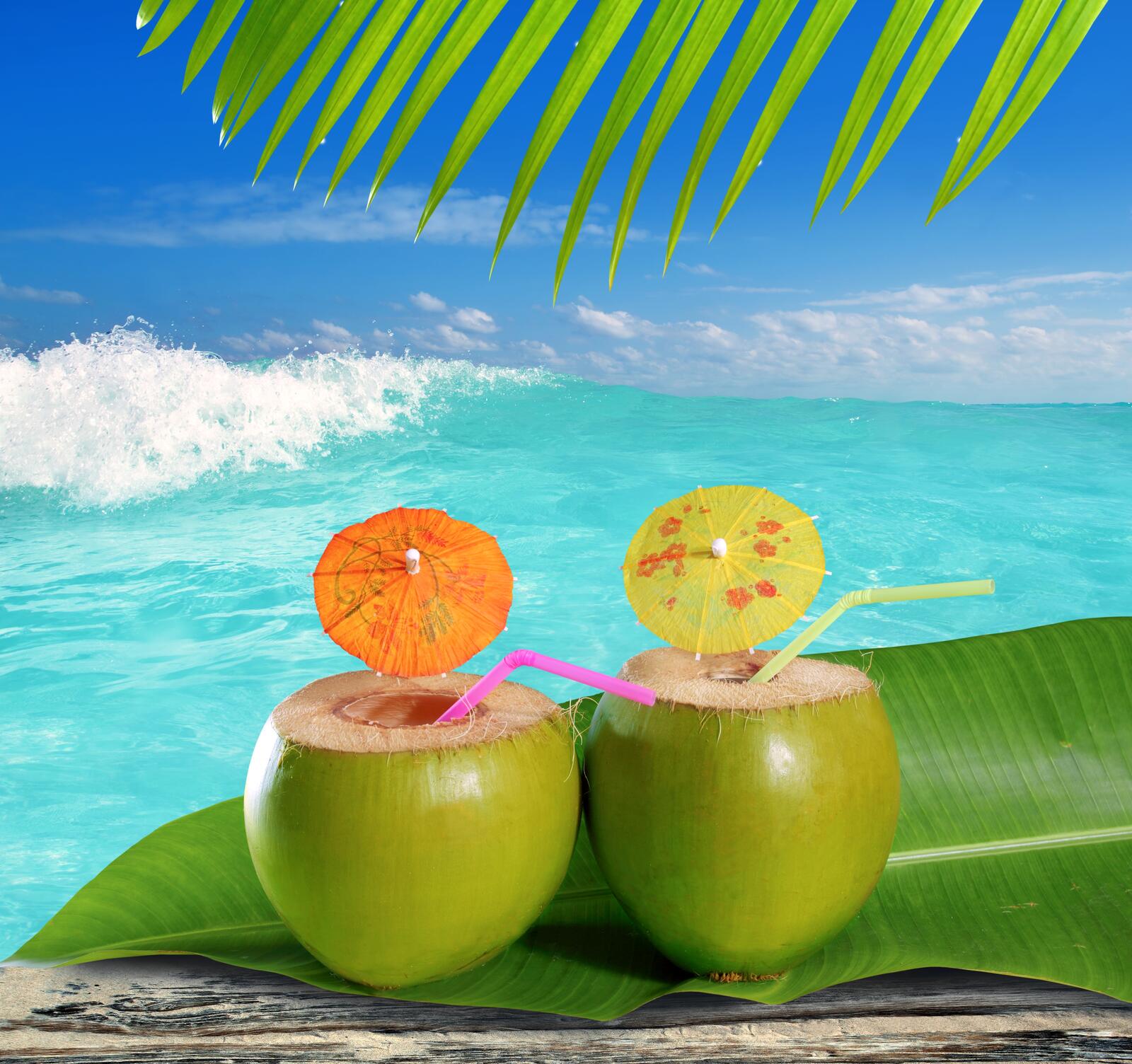 Обои море кокосы коктейли на рабочий стол