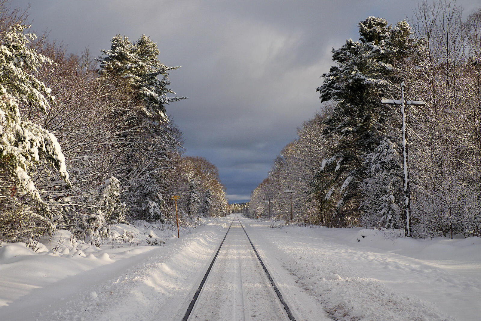 Обои лес железная дорога зима на рабочий стол