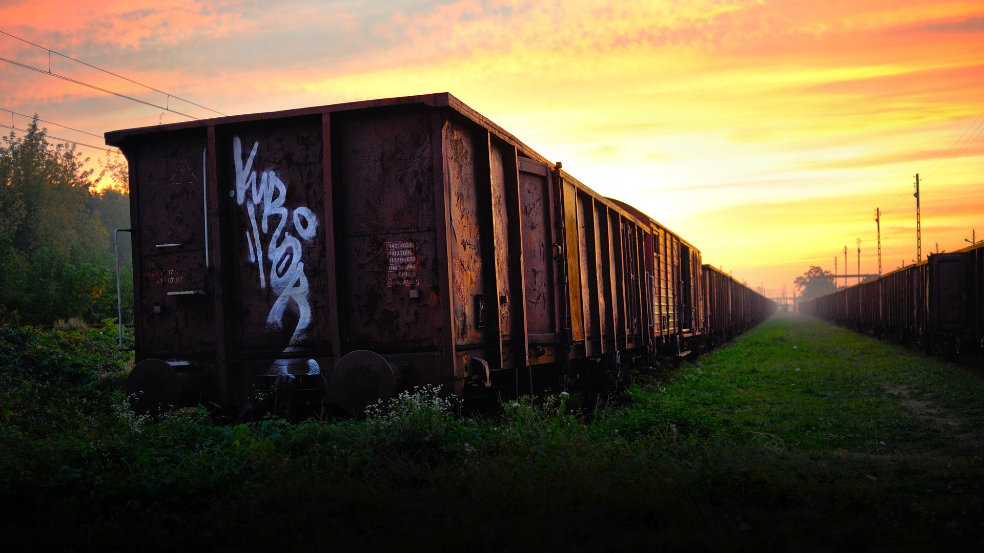 Photo free railway, wagons, freight