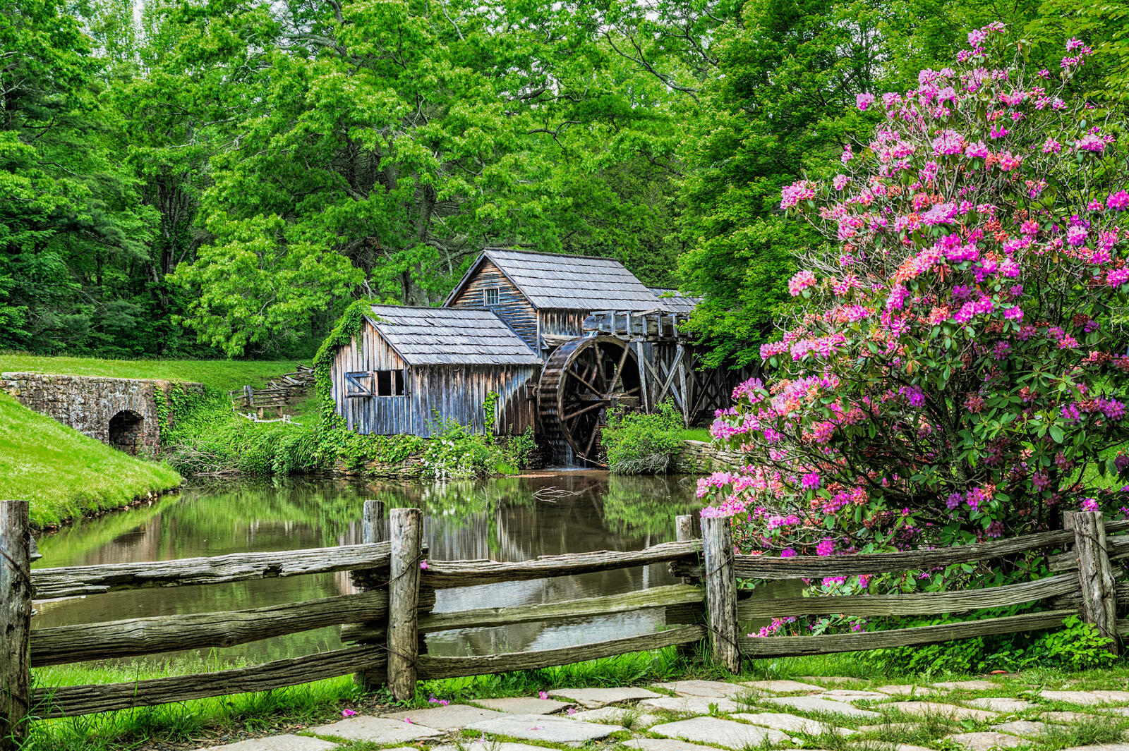 Wallpapers forest landscape water mill on the desktop