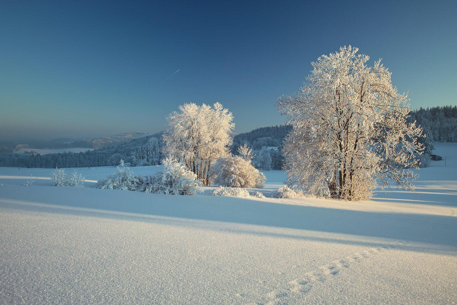 Обои зима следы пейзаж на рабочий стол