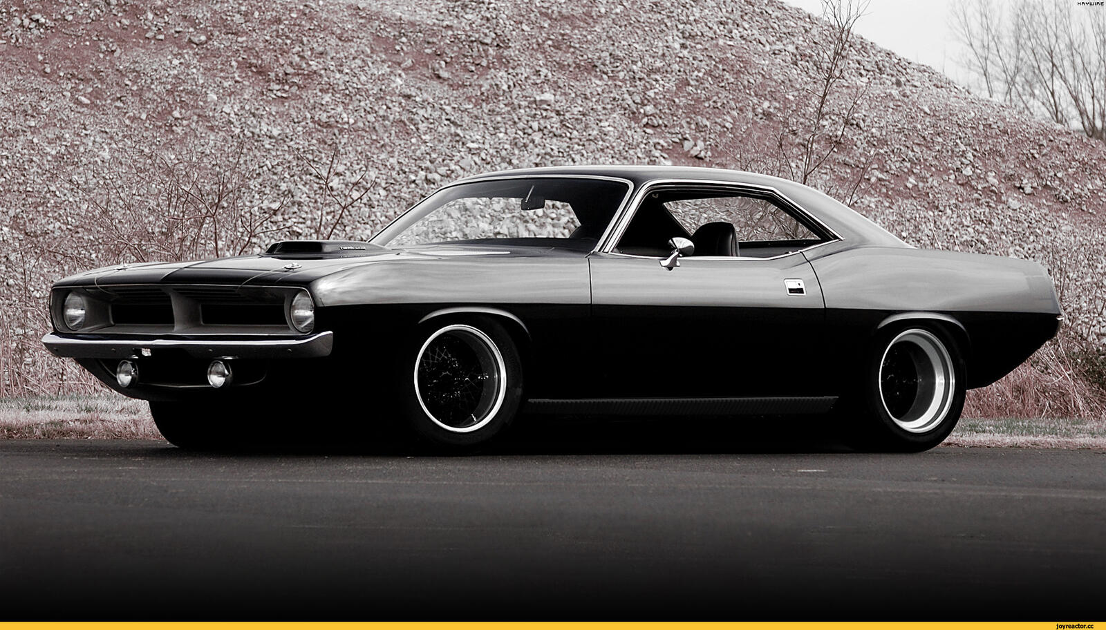 Wallpapers muscle car front of view from front on the desktop
