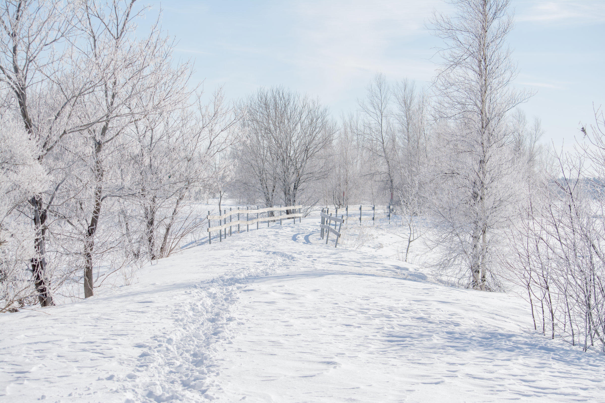 Бесплатное фото Обои снег, тропинка на телефон высокого качества