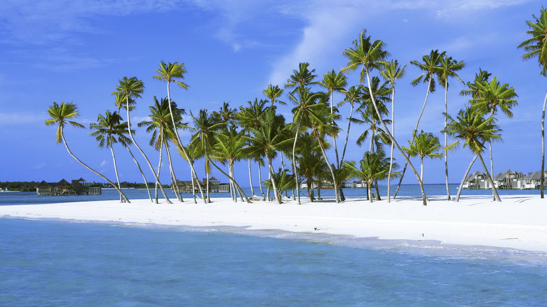 Обои пальмы островок белый песок на рабочий стол