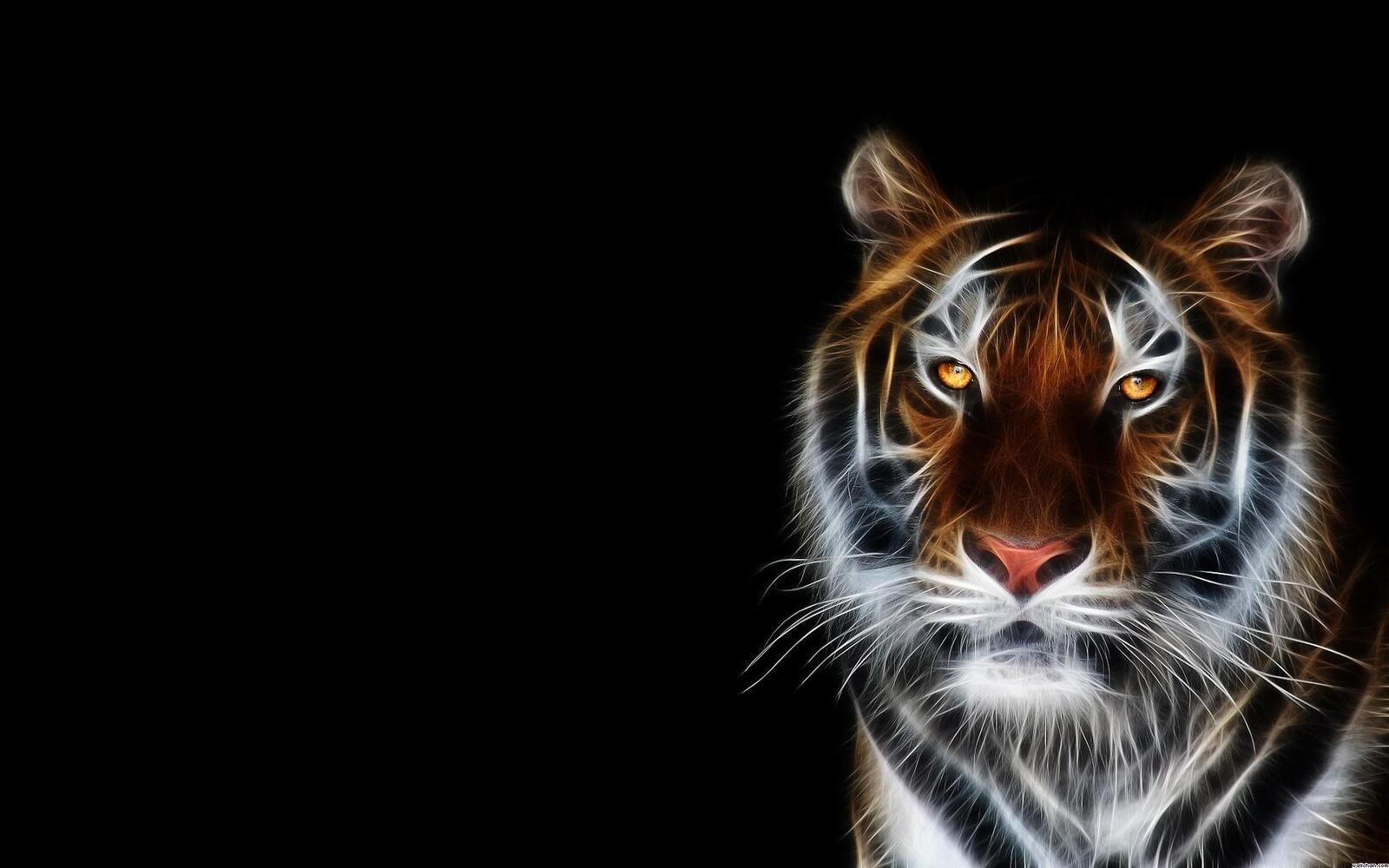 Wallpapers tiger 3d art on the desktop