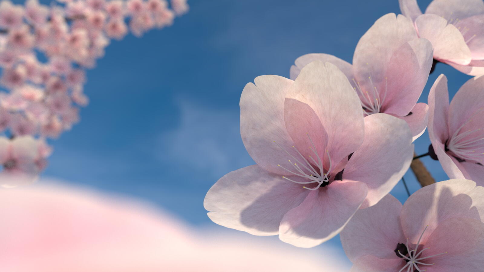 Обои весна цветы розовый на рабочий стол