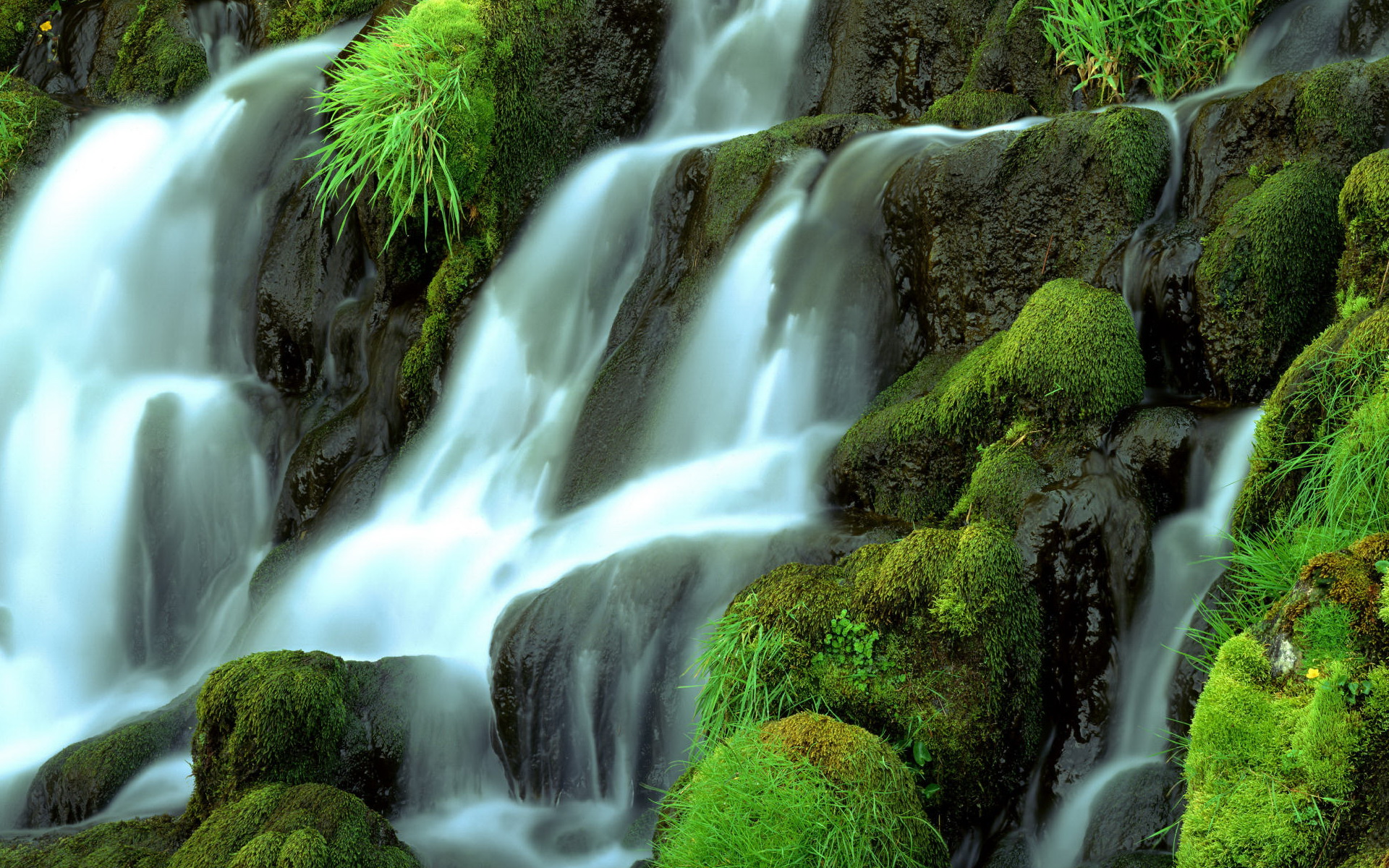 Wallpapers waterfall water bushes on the desktop