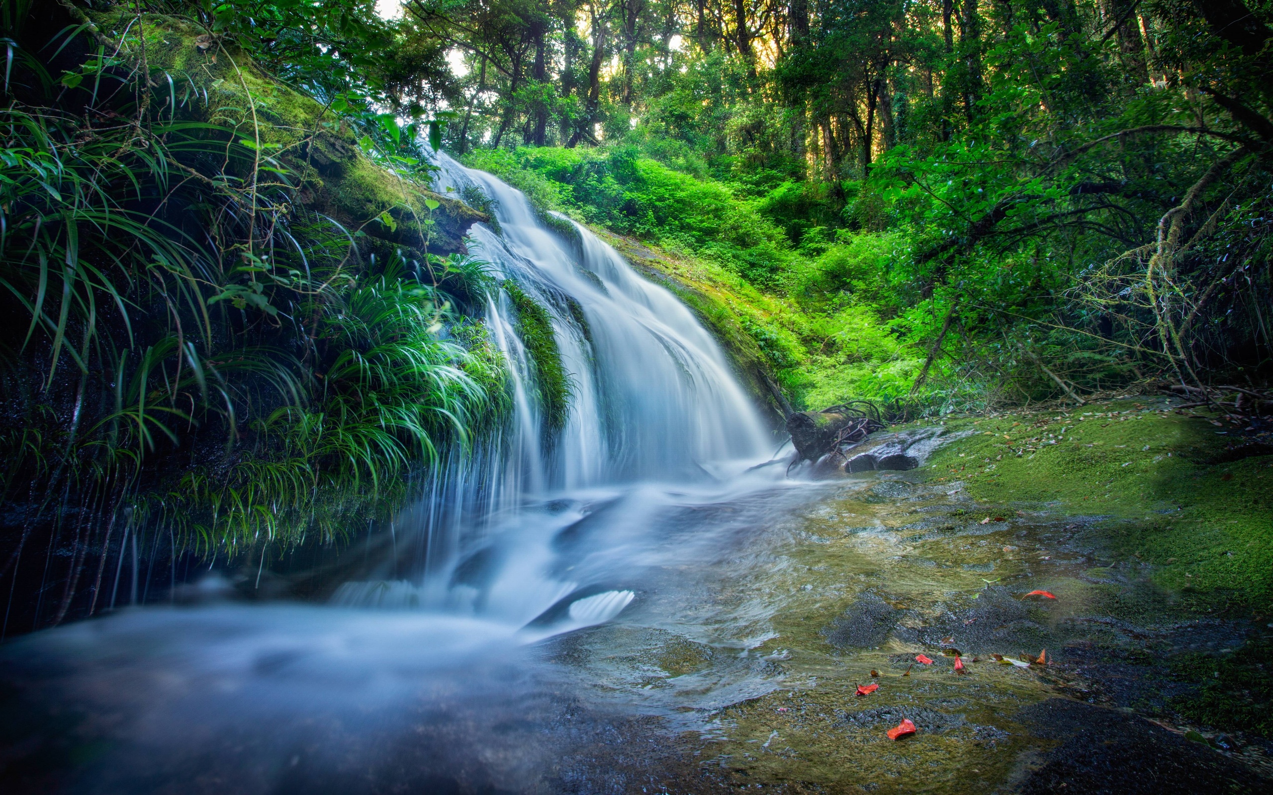 Фото бесплатно водопад, река, трава