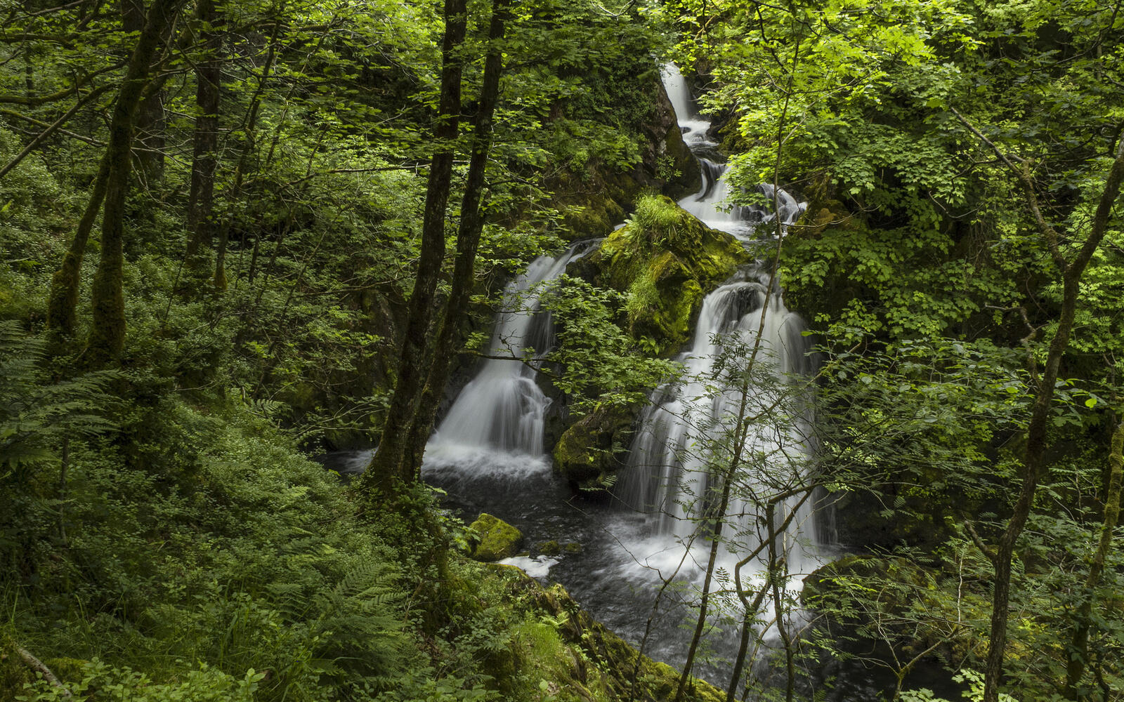 Wallpapers waterfall summer forest on the desktop