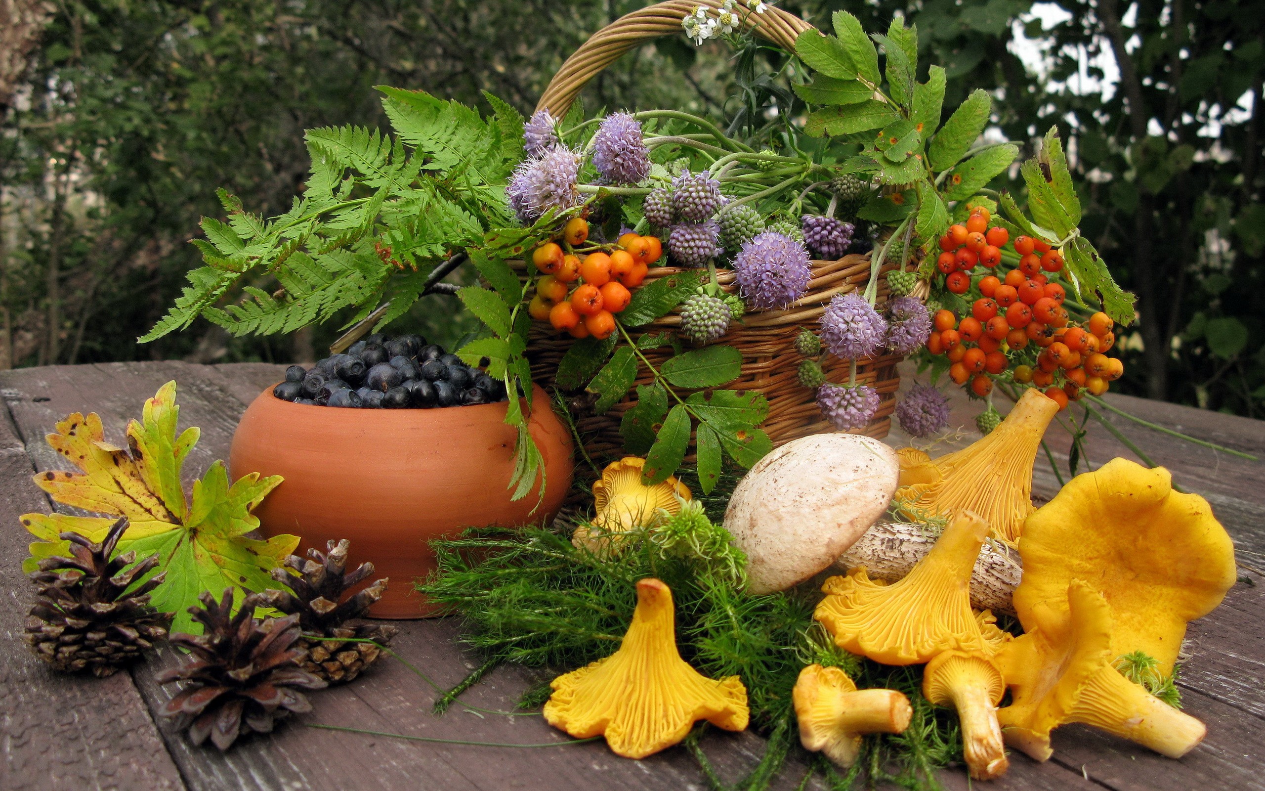 Лето грибами осень плодами. Осенняя композиция дары осени. Композиция дары природы. Осенние дары леса. Грибы и ягоды.