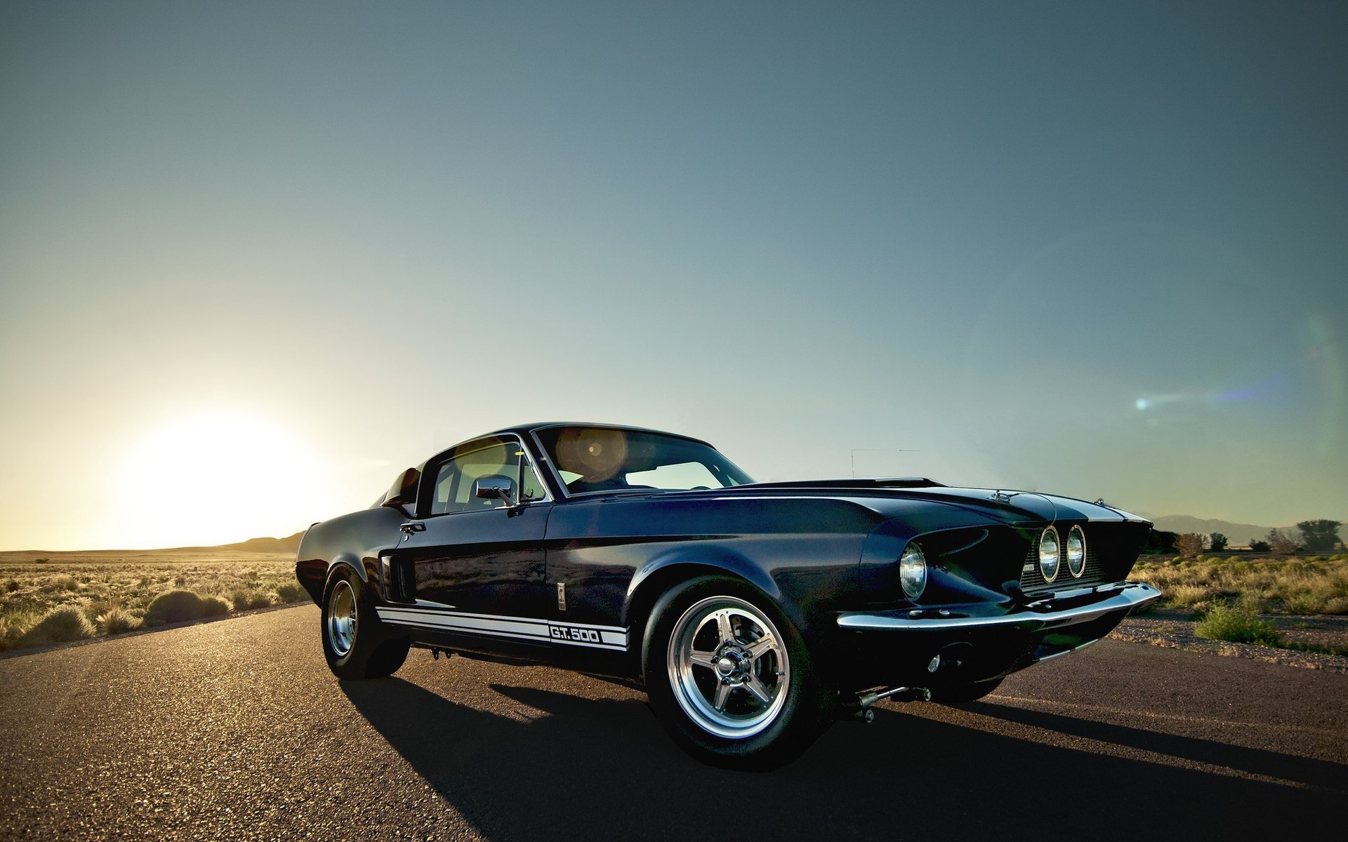 Wallpapers ford mustang gt500 on the desktop