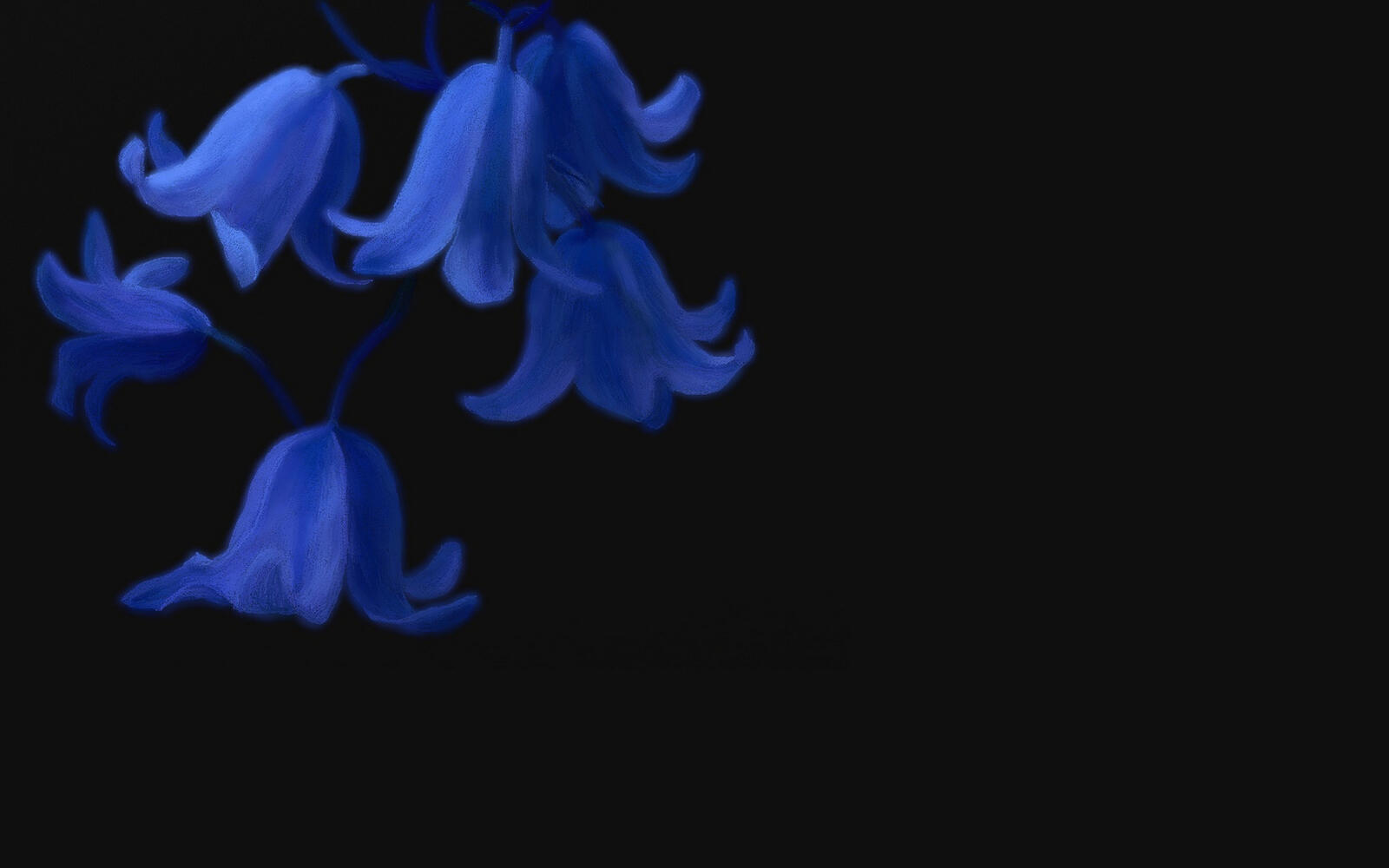 Wallpapers bells petals blue on the desktop