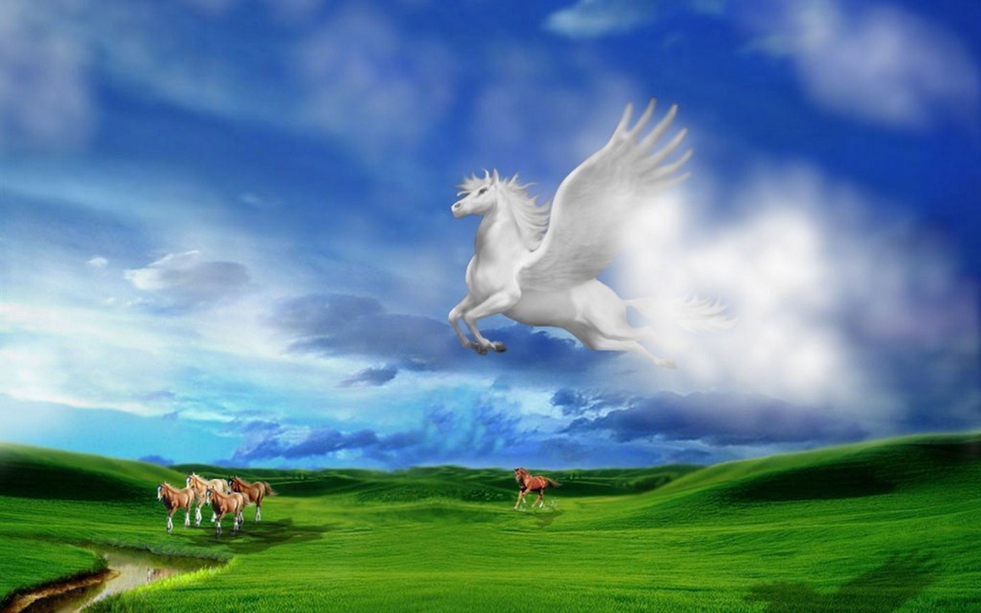 Wallpapers horses flying wings on the desktop