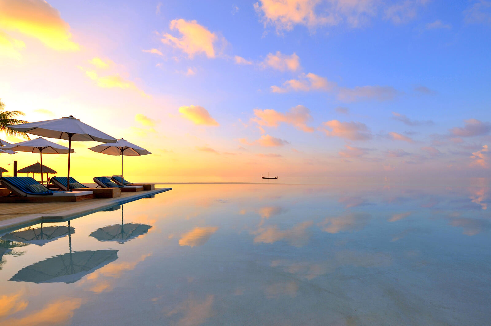 Wallpapers maldives tropics swimming pool on the desktop