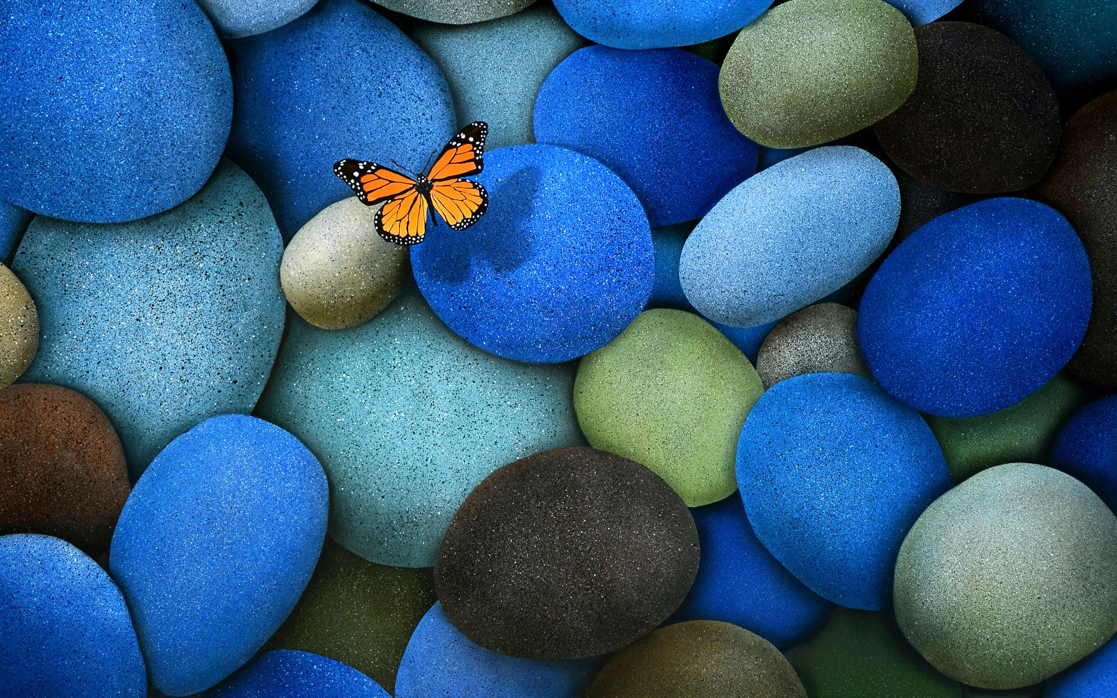 Wallpapers stones butterfly nature on the desktop