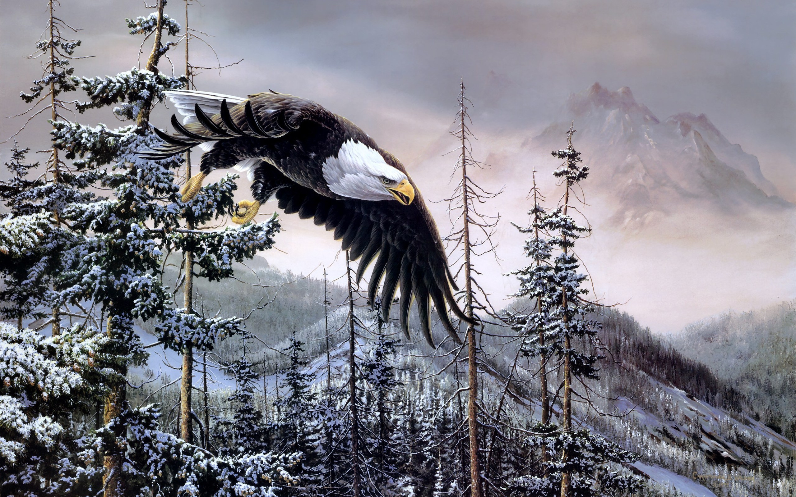 Фото бесплатно орел, перья, крылья