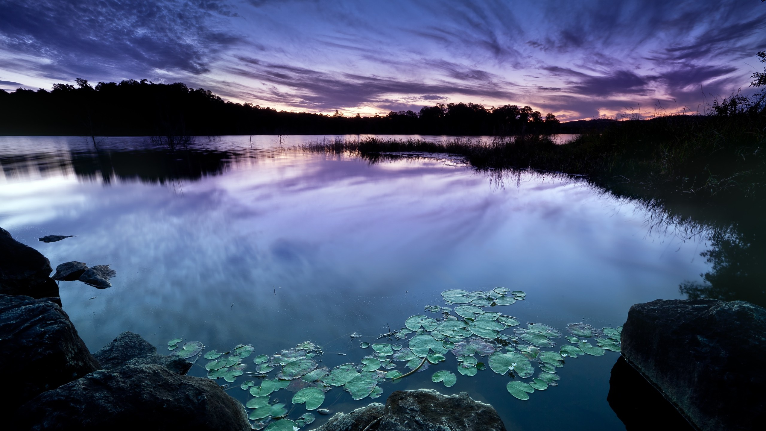 Wallpapers water lilies landscapes clouds on the desktop