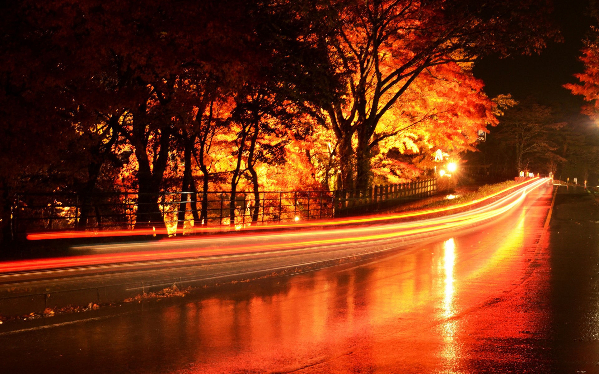 Осень дорога ночь