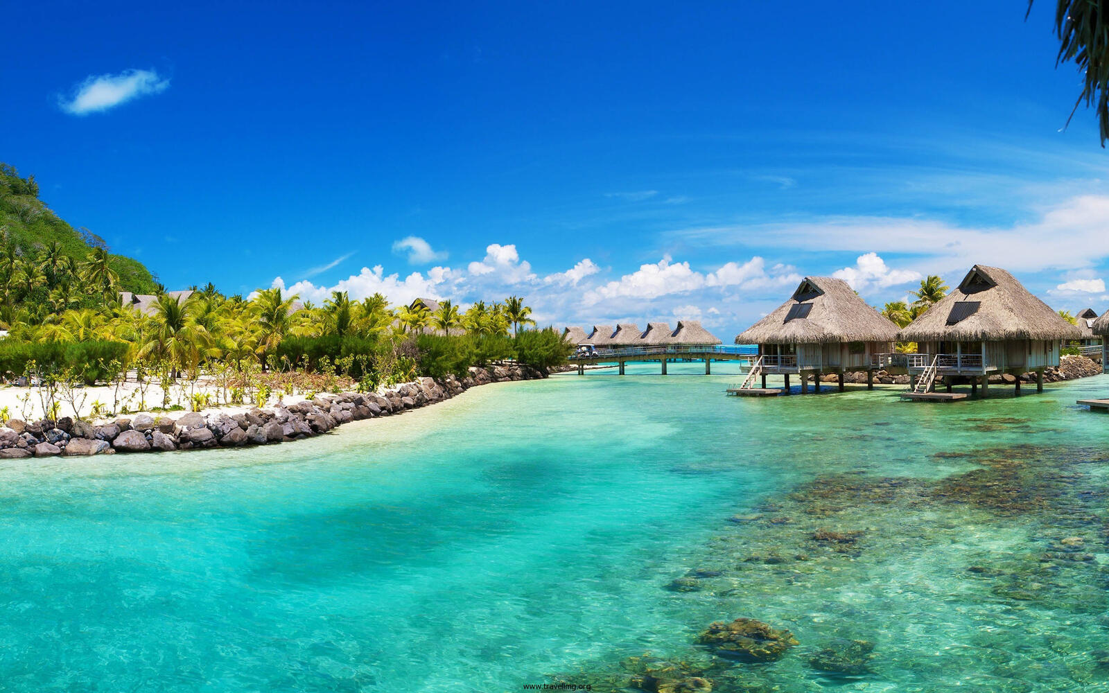 Wallpapers clear water sea bungalow on the desktop