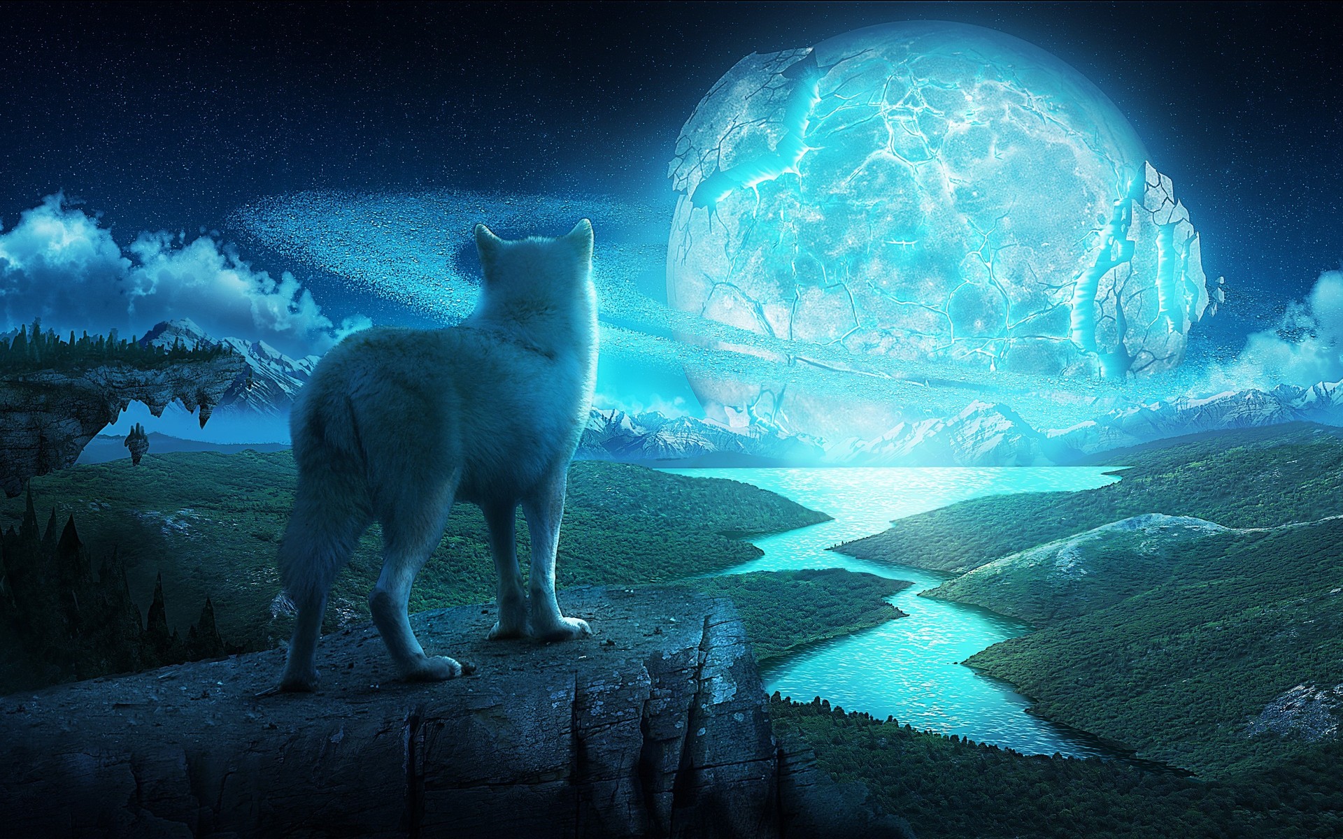 Wallpapers wolf moon howl on the desktop