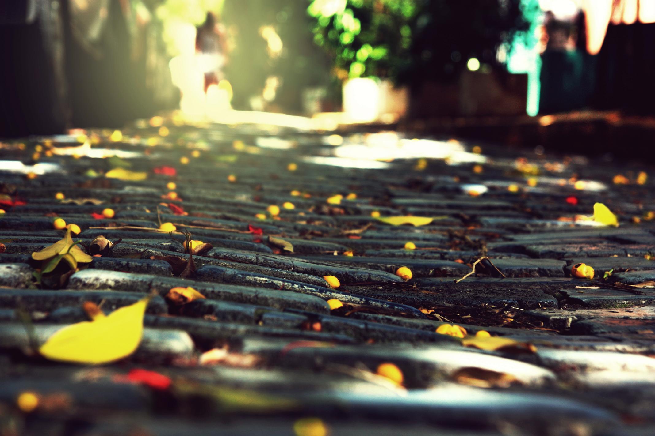 Ночью по листьям стучал беспрерывно. Осень в городе. Осень дождь. Осеннее настроение. Листья на брусчатке.