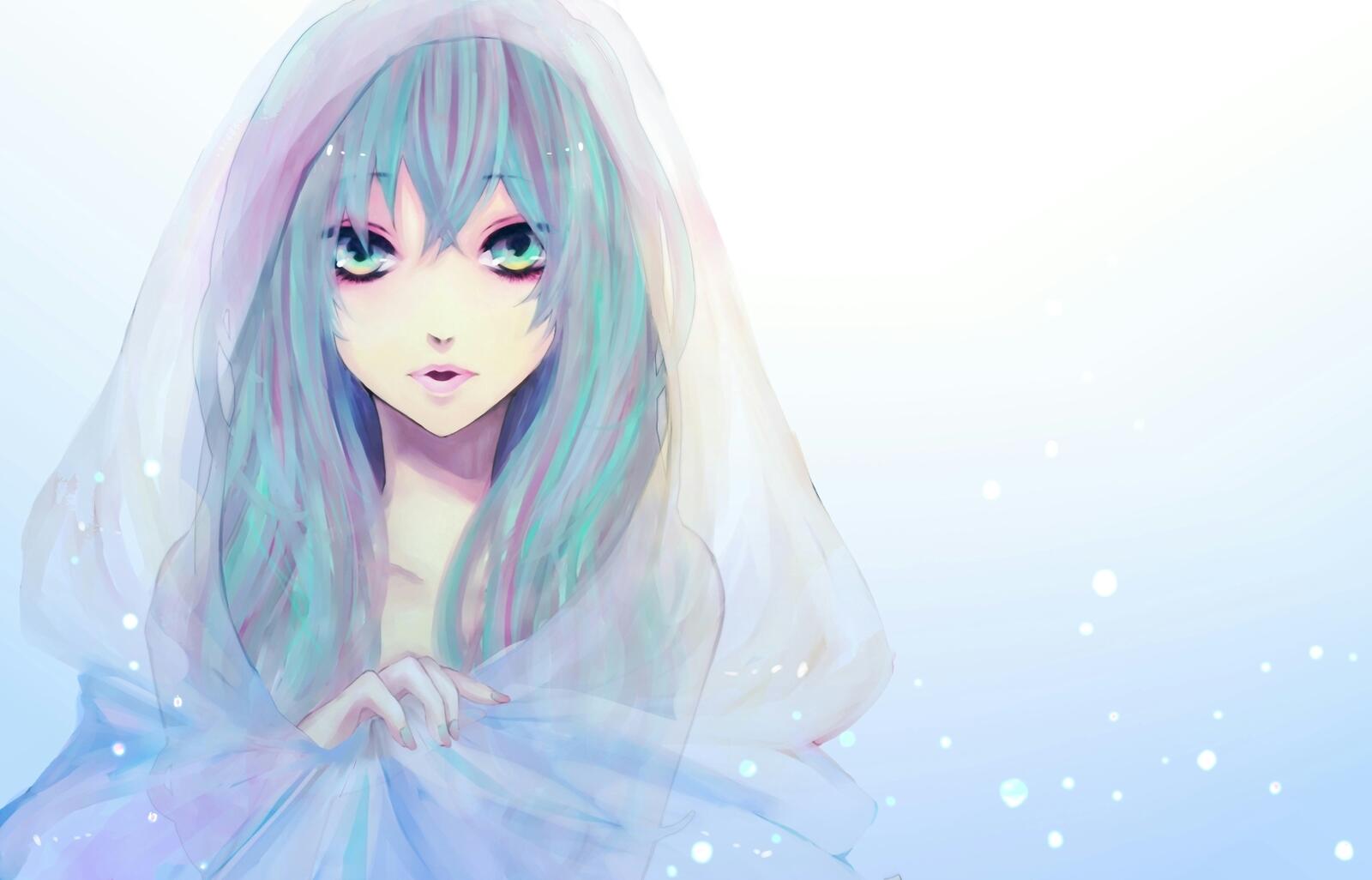 Wallpapers vocaloid drawing girl on the desktop