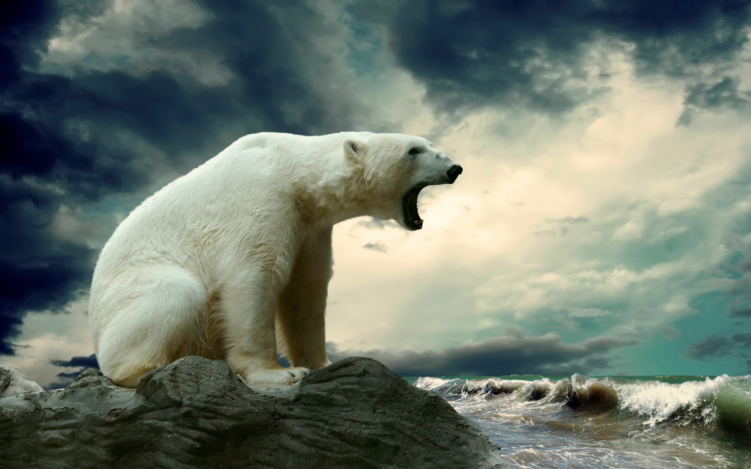 The polar bear is sitting on a rock