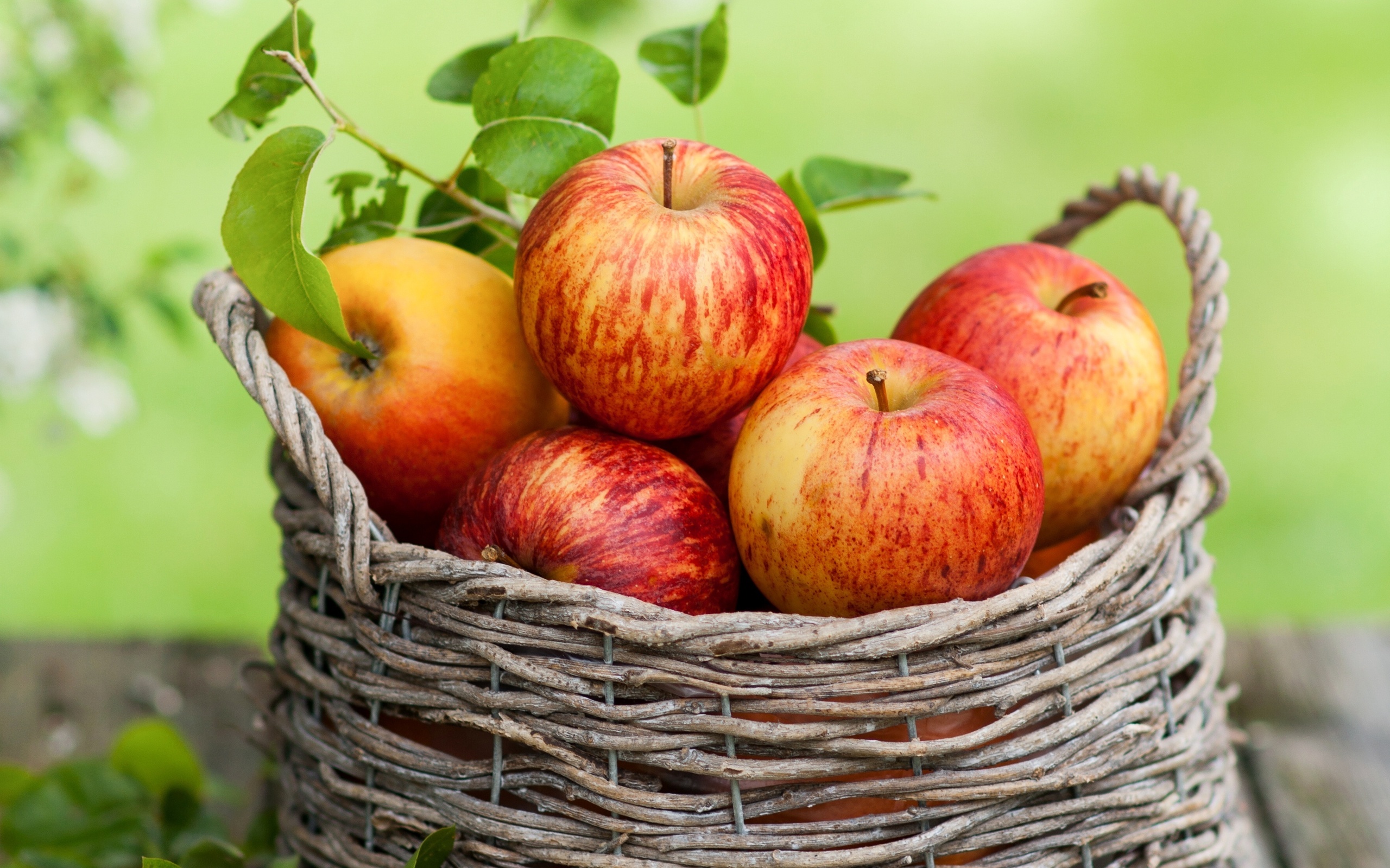 Фото бесплатно яблоки, корзина, урожай