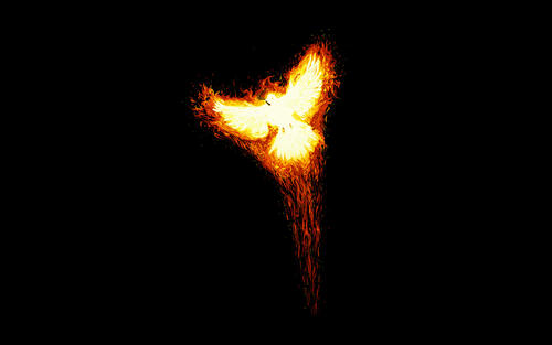 Fire phoenix bird flying on a black background
