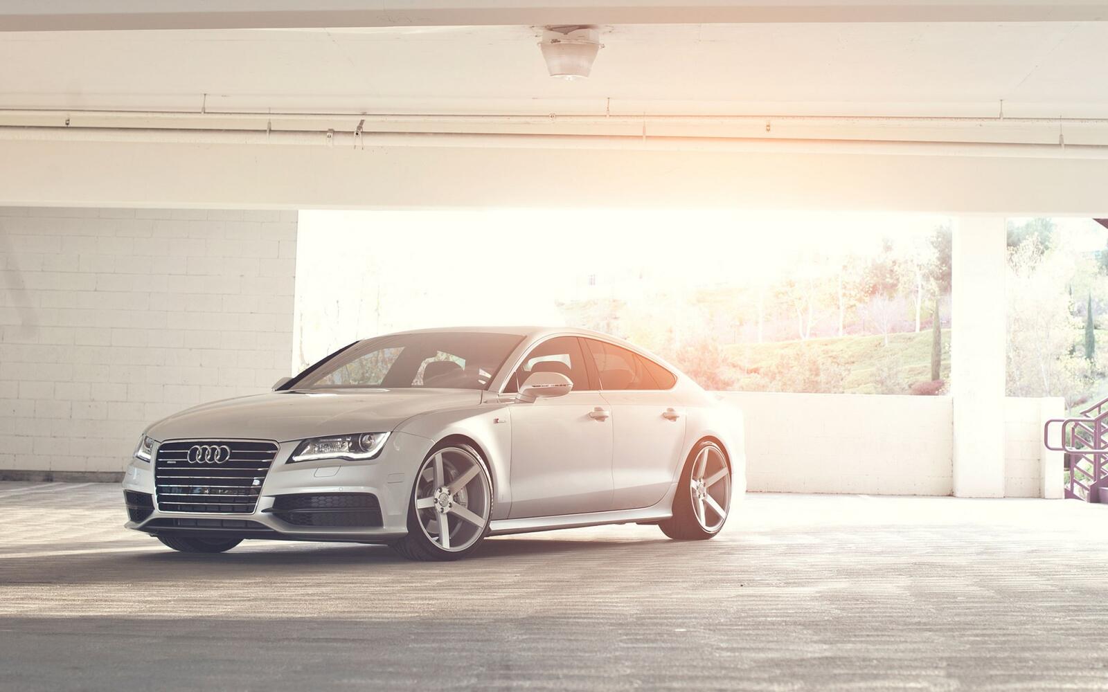 Wallpapers audi white grille on the desktop