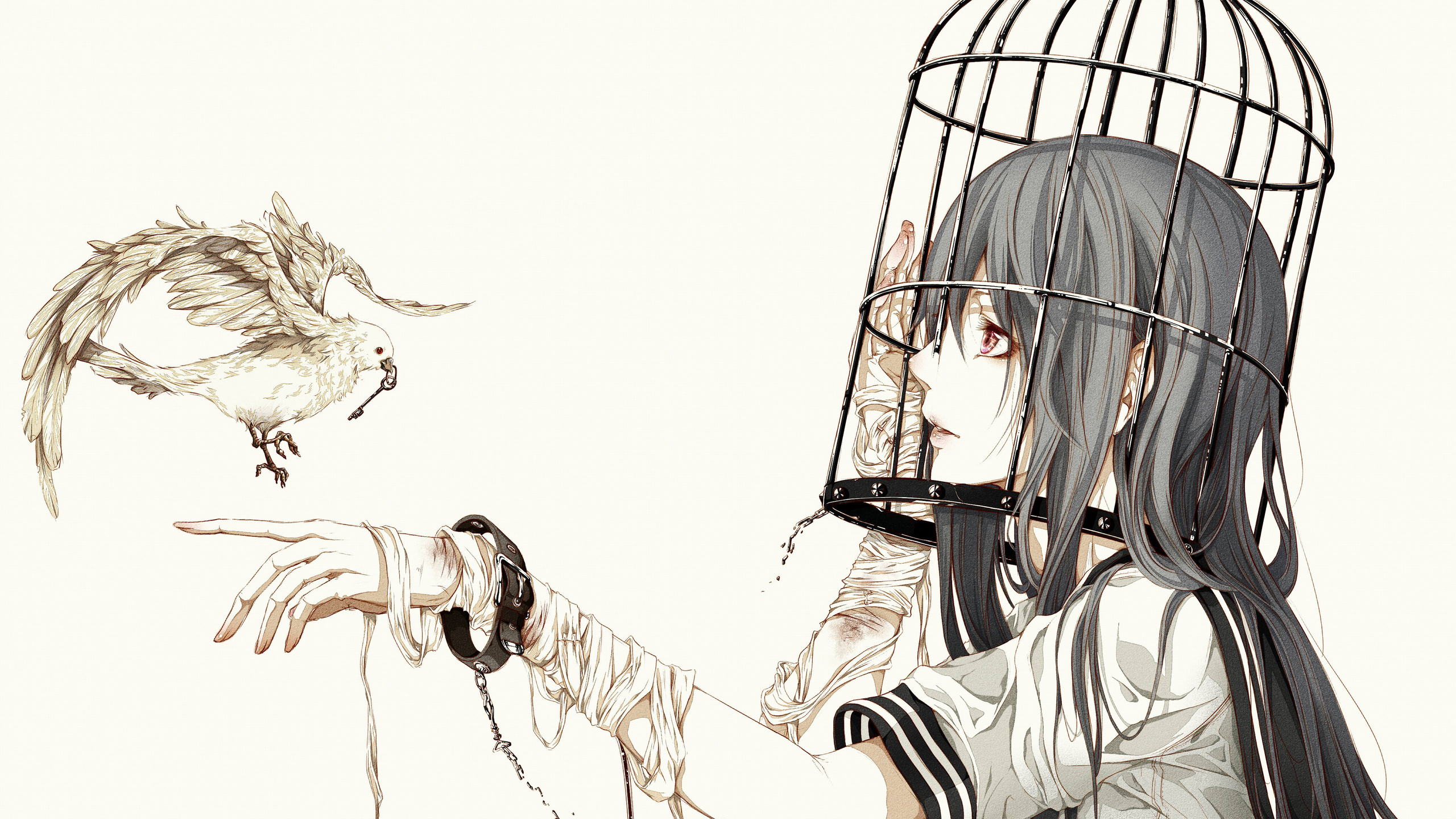 Wallpapers girl bird cage on the desktop