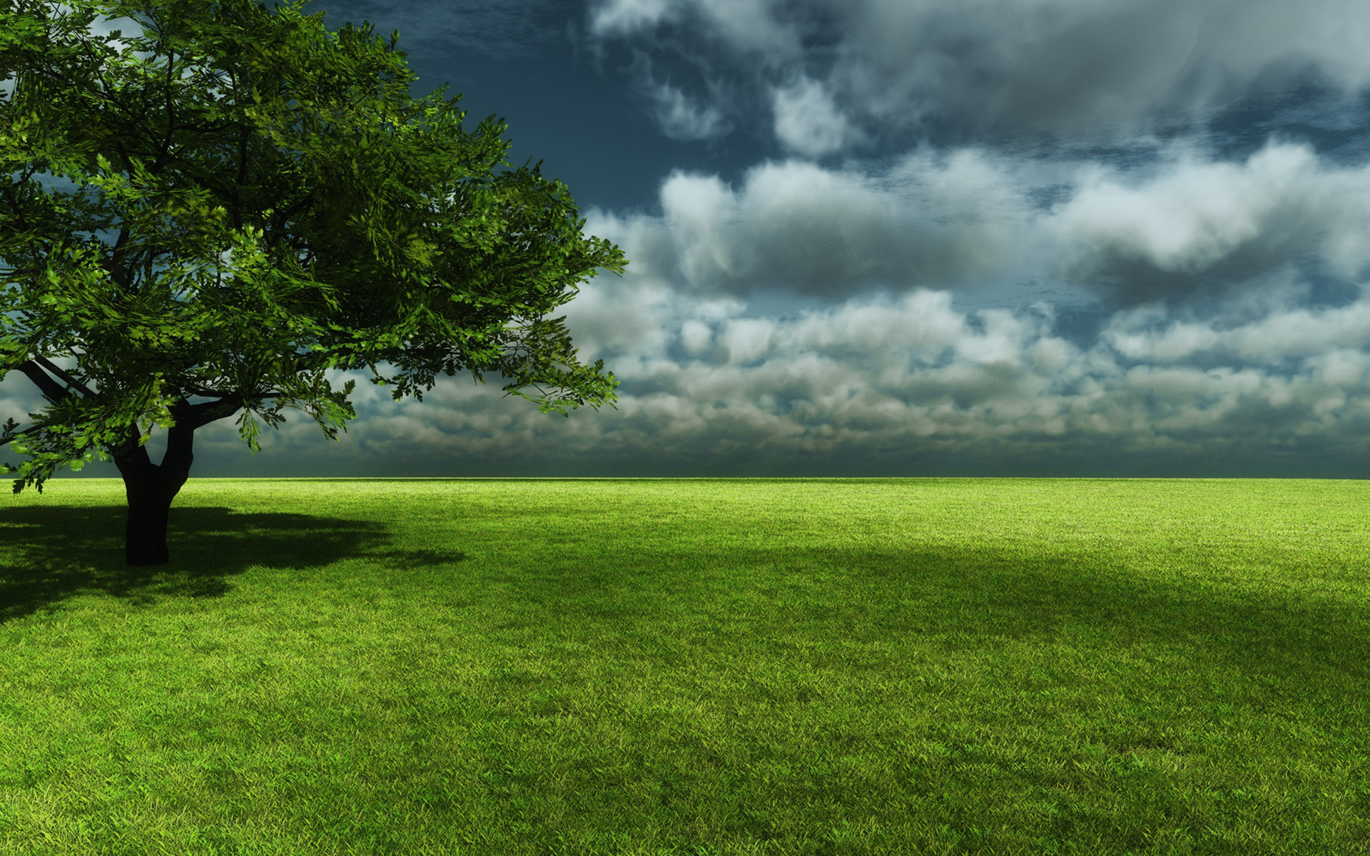 Wallpapers landscapes green grass on the desktop