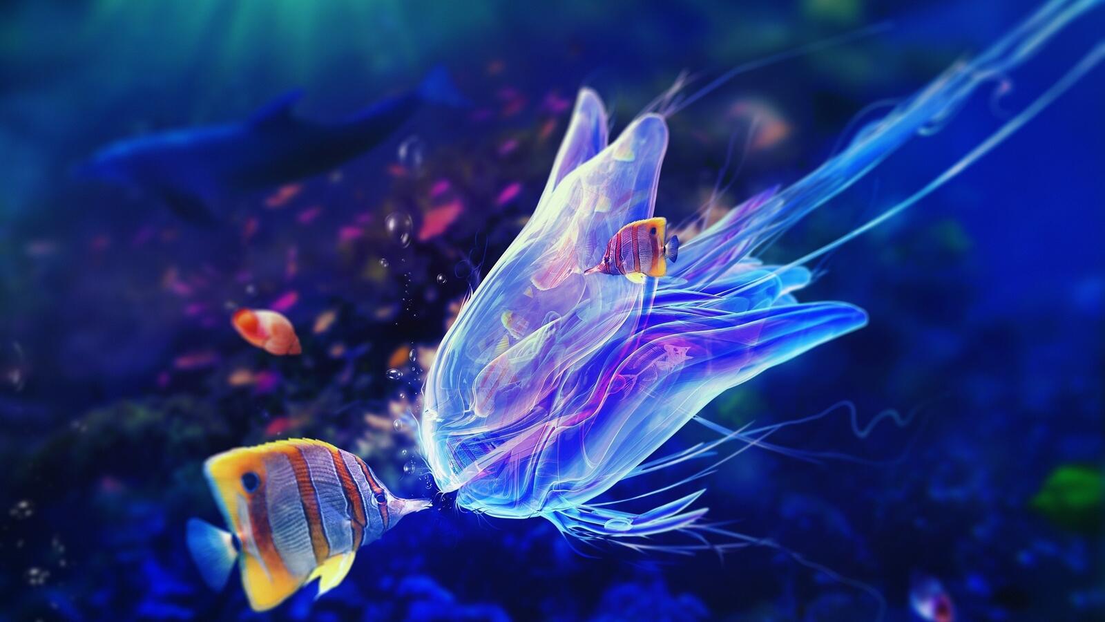 Wallpapers jellyfish fish dolphin on the desktop