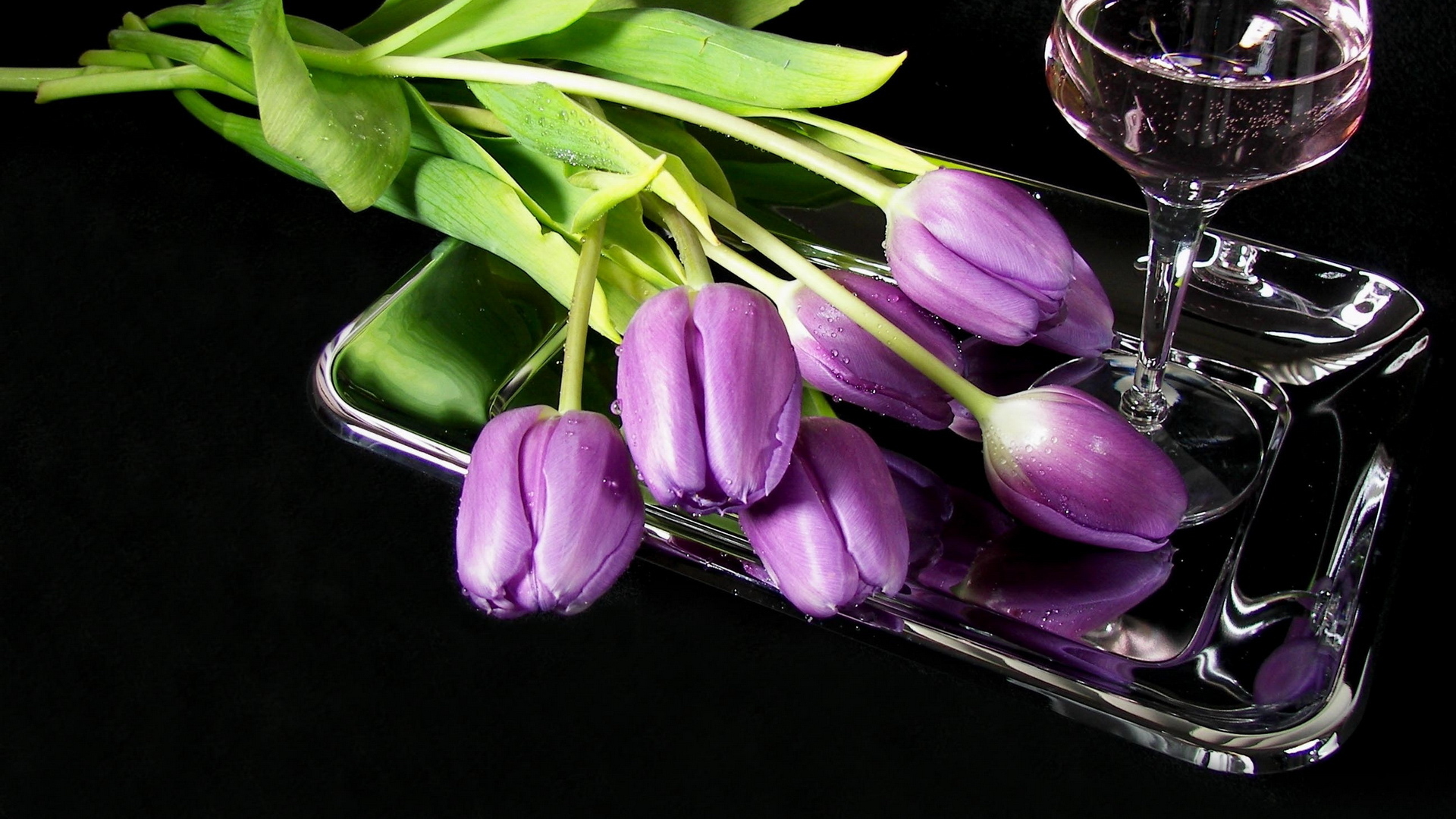 Бесплатное фото Сиреневые тюльпаны