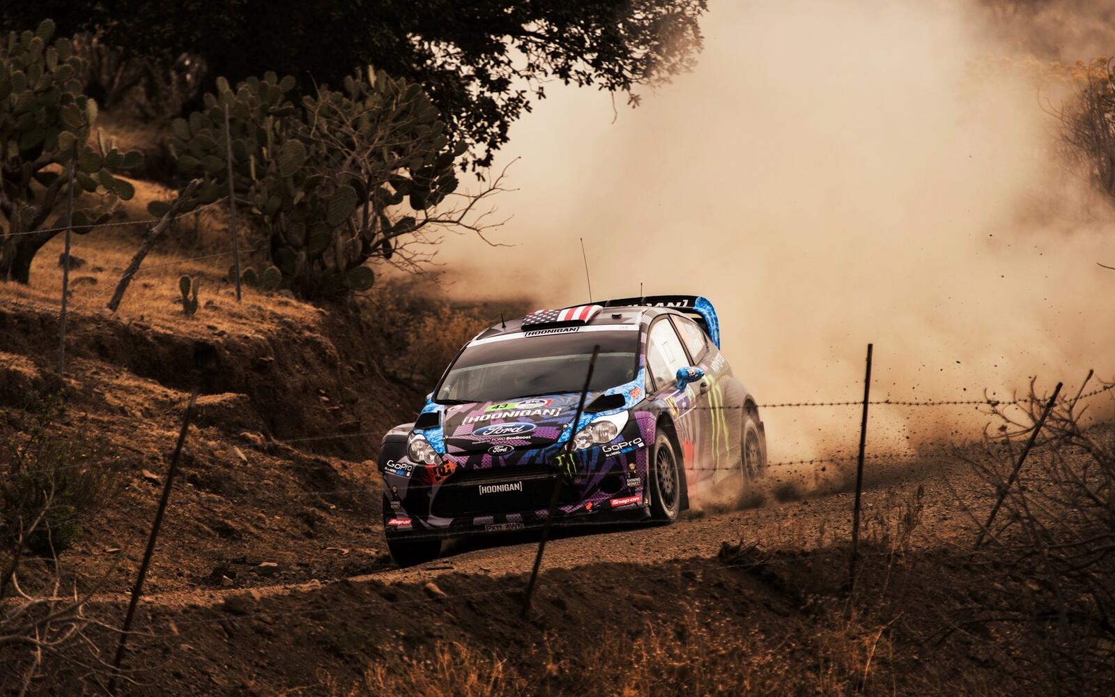 Wallpapers Ford focus rally race on the desktop