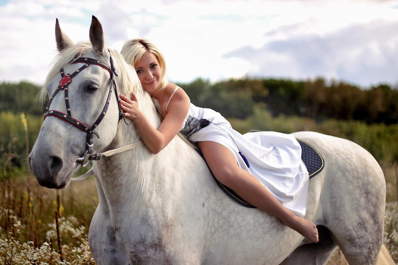 Обои лошадь белая девушка на рабочий стол