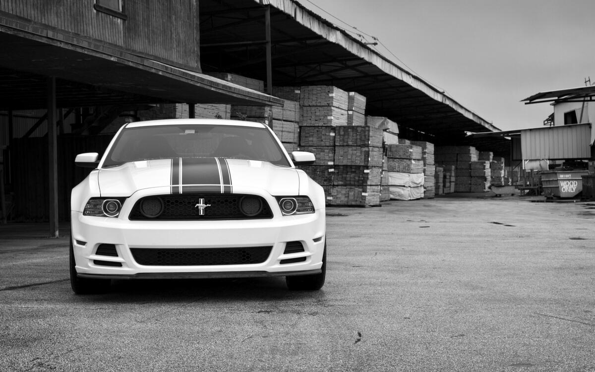 A white Ford Mustang is in stock.