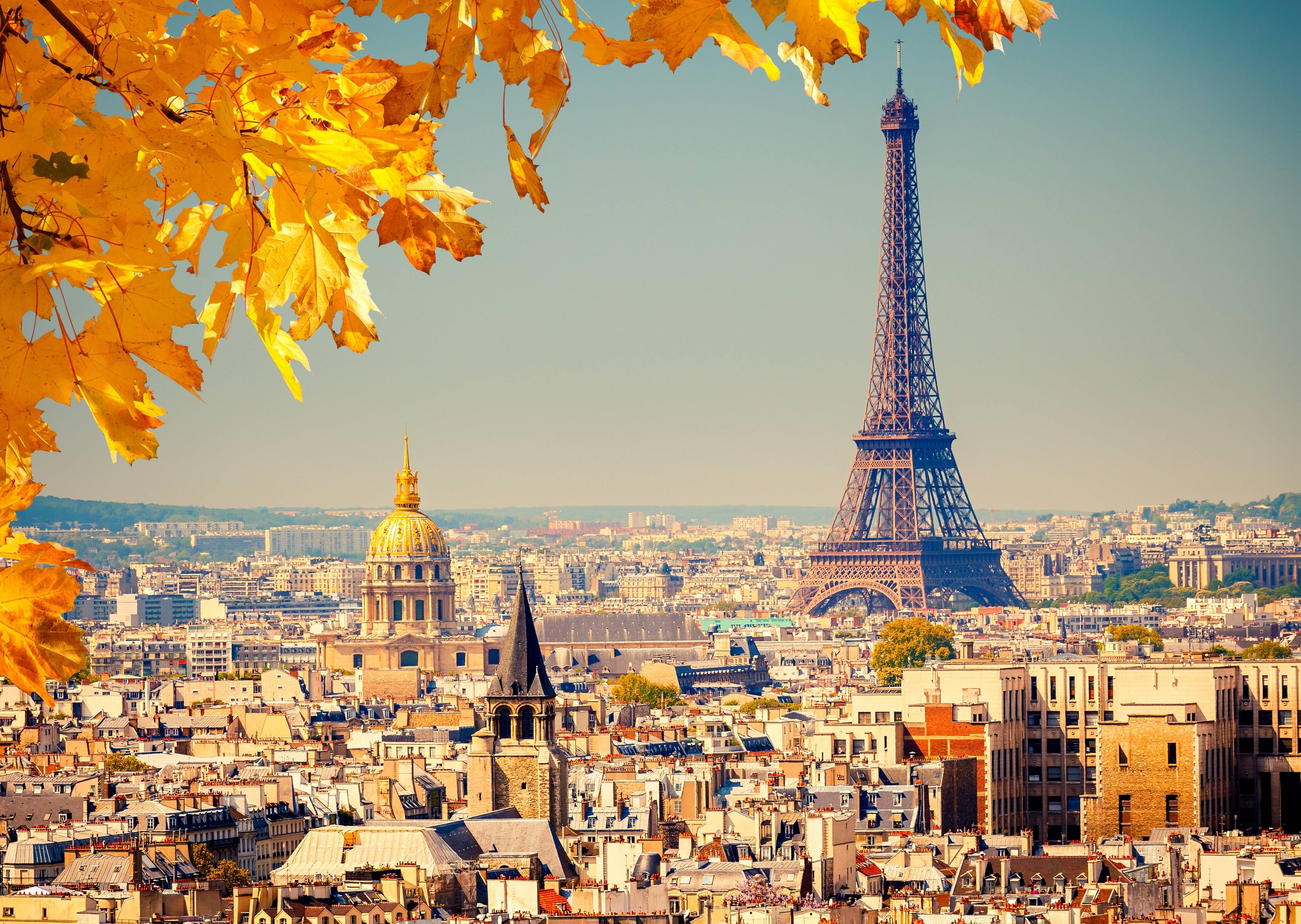 Обои Франция осень желтая листва на рабочий стол