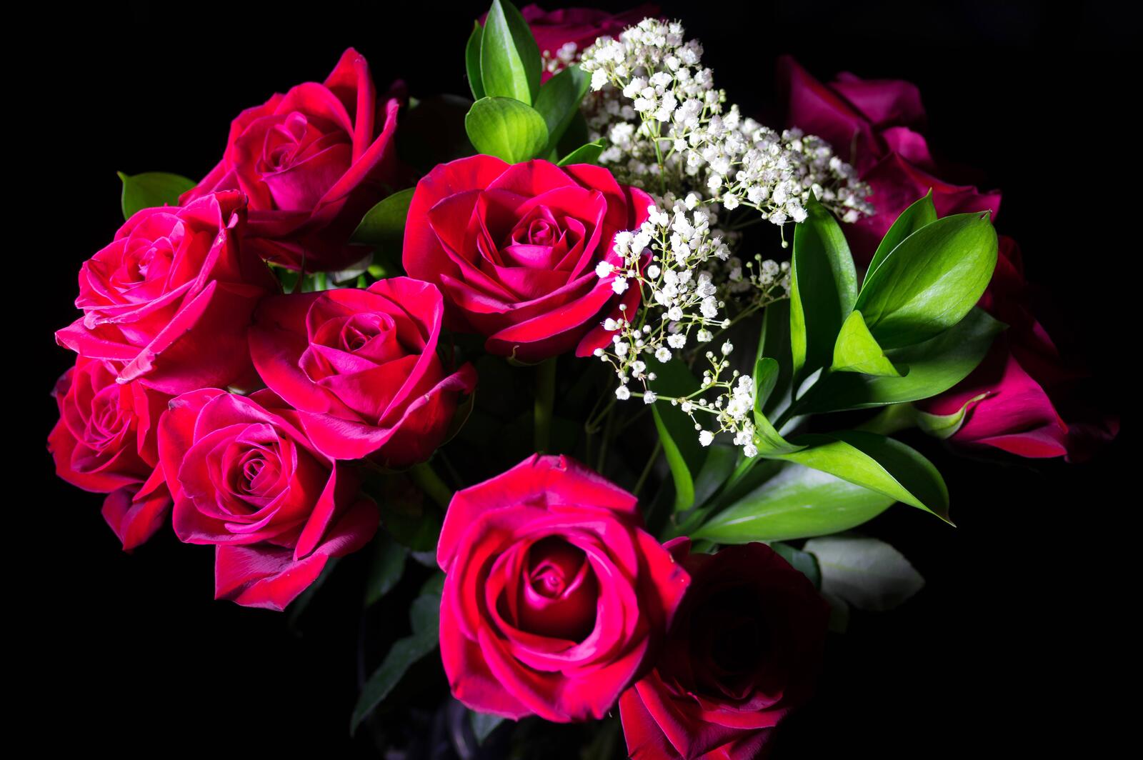 Обои розы букет роз черный фон на рабочий стол
