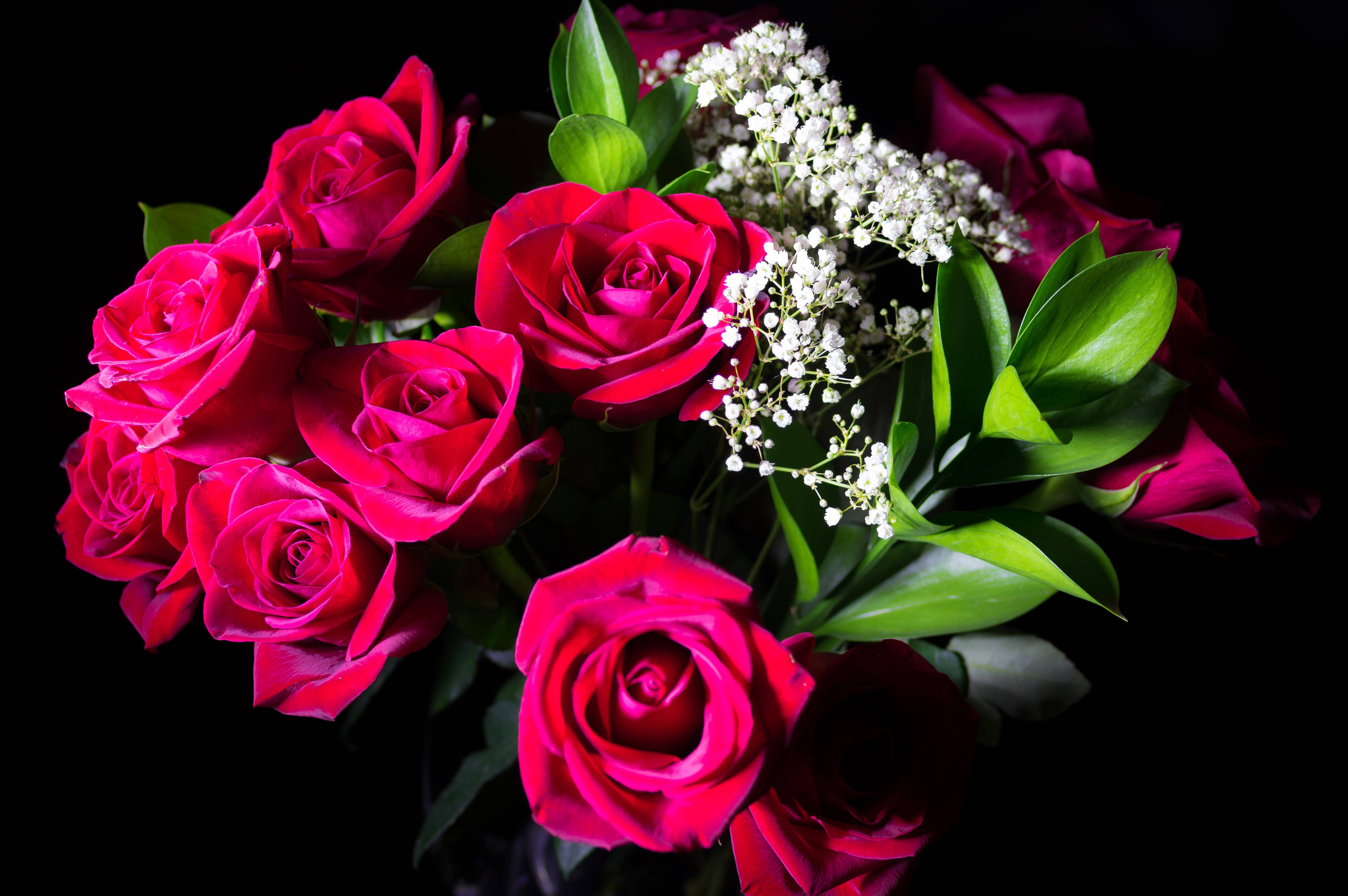 Фото бесплатно розы, букет роз, черный фон