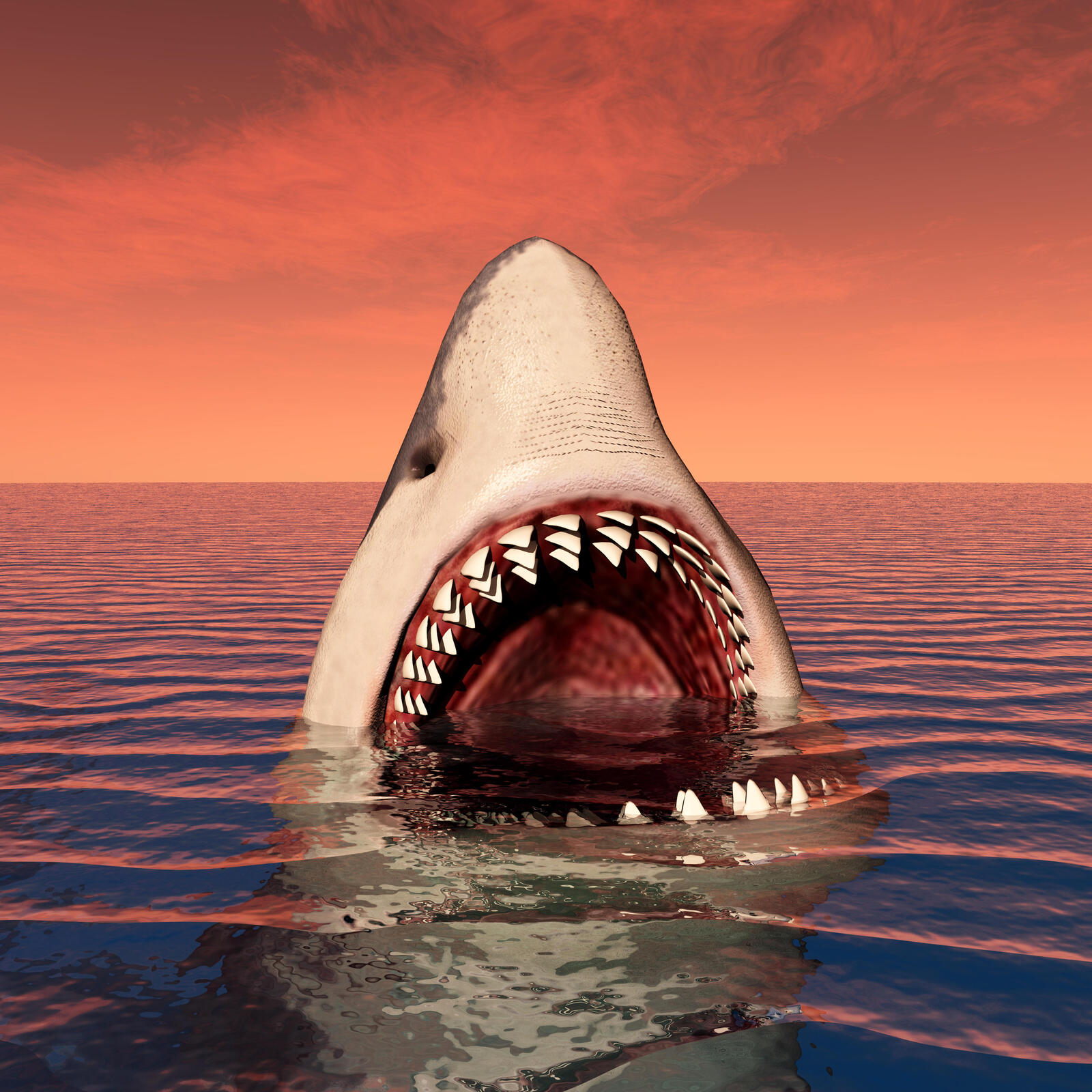 免费照片鲨鱼屏幕保护程序，对着屏幕咧嘴一笑
