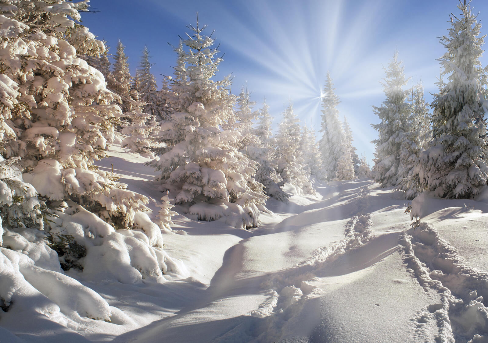 пейзаж солнечные лучи сугробы снега