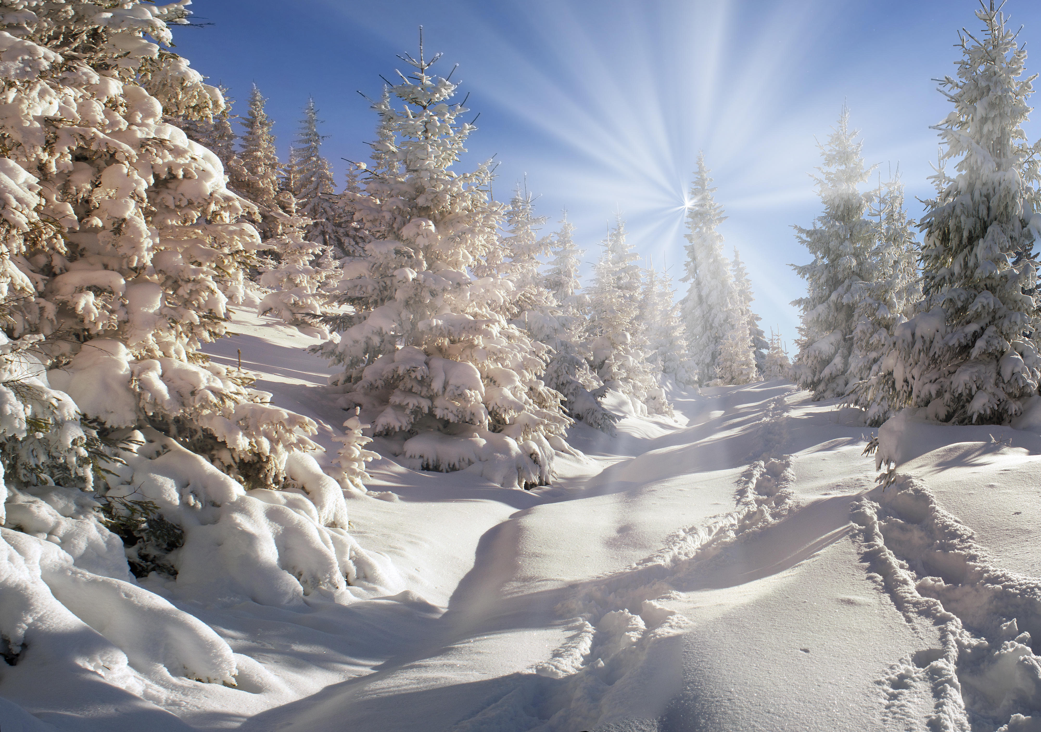 Фото бесплатно пейзаж, солнечные лучи, сугробы снега