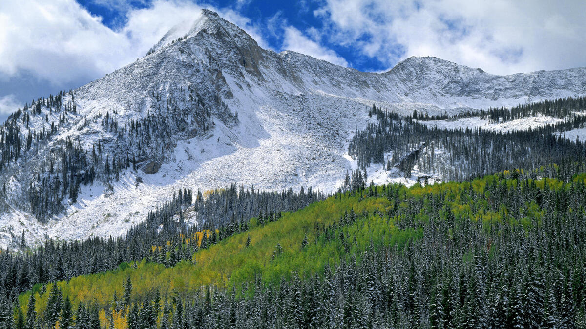A snowy mountain peak next to a green forest