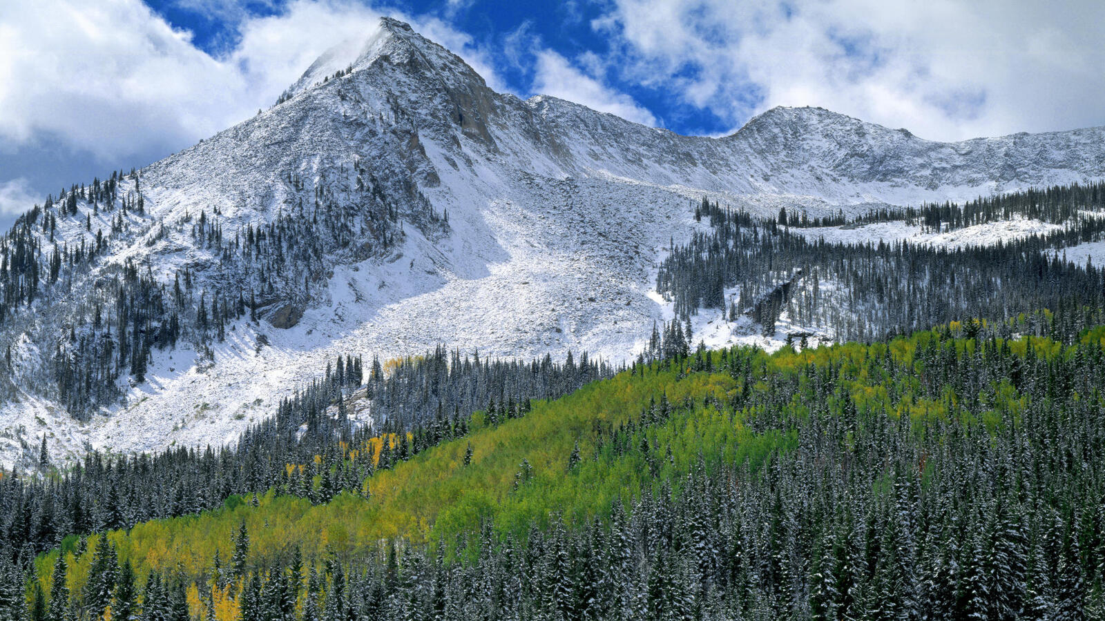 Free photo A snowy mountain peak next to a green forest