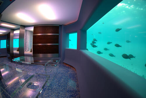 Large aquarium with fish in the home interior