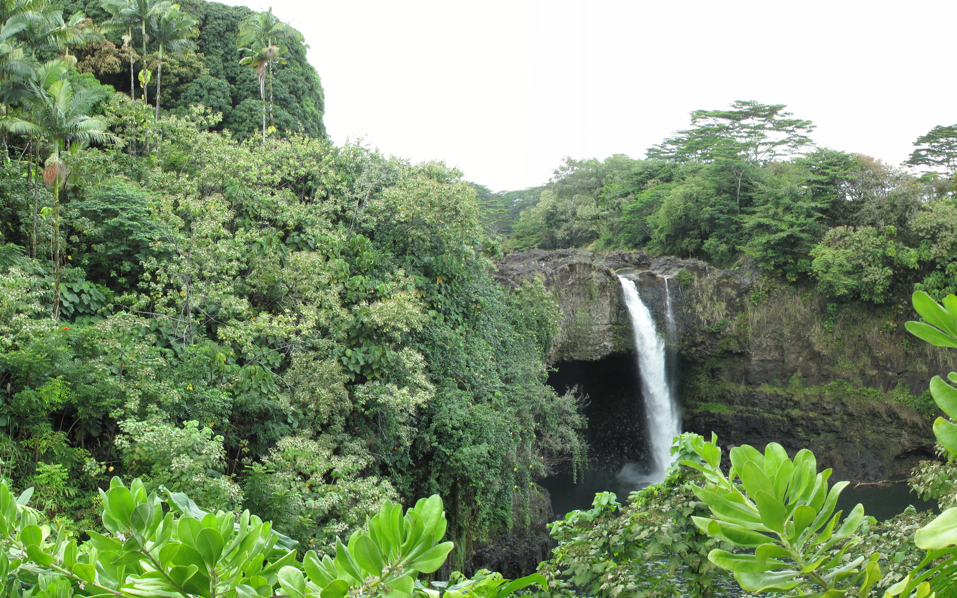 Фото бесплатно деревья, джунгли, водопад