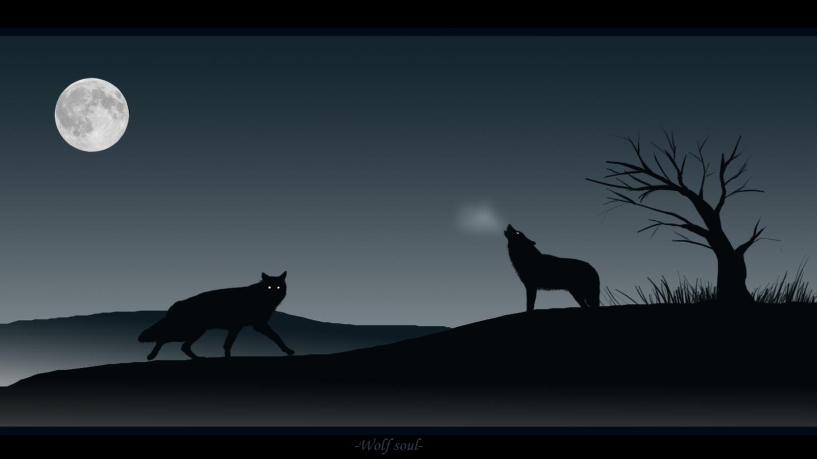 Обои волки воют темно на рабочий стол